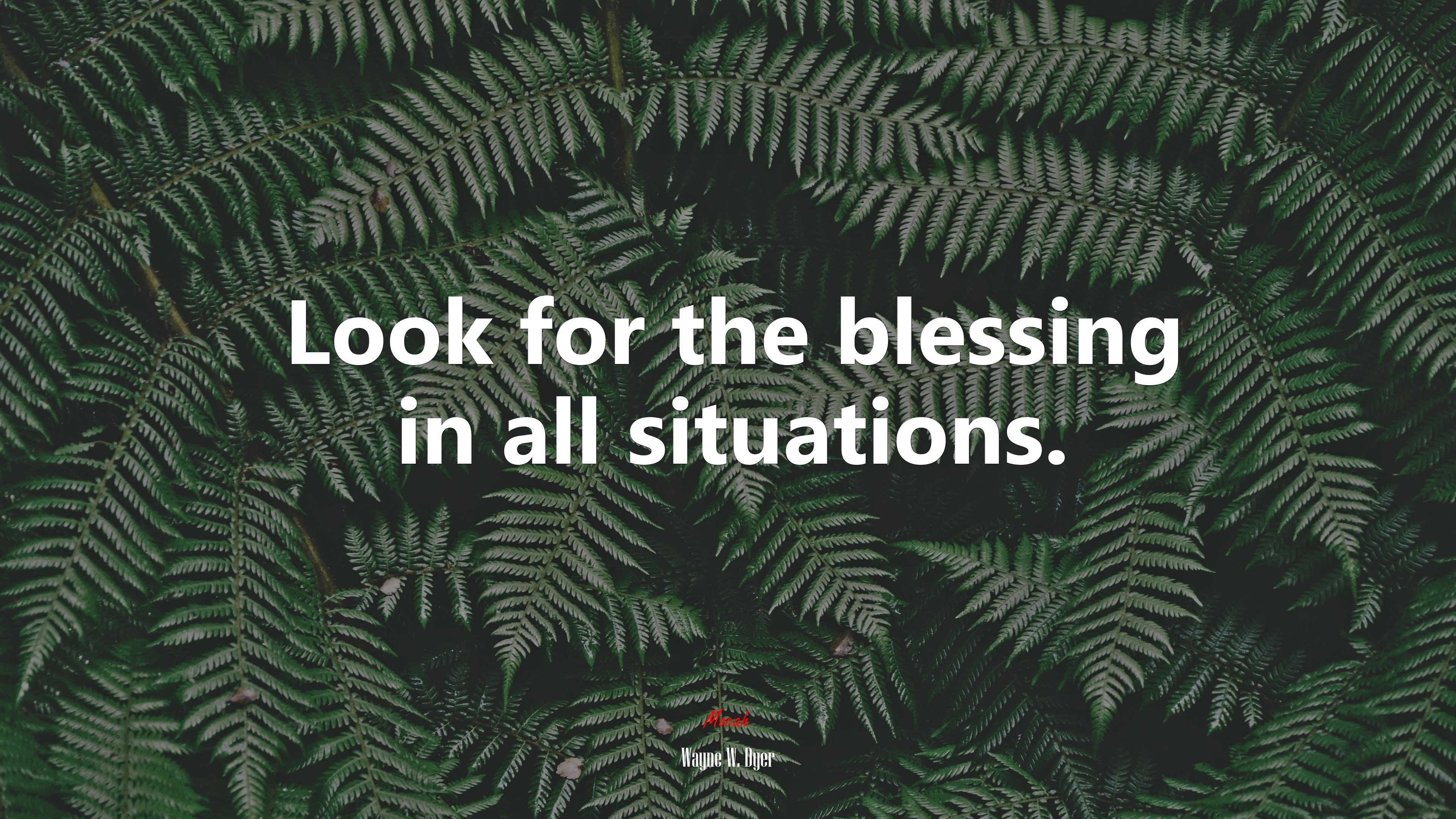 Look for the blessing in all situations. | Wayne W. Dyer quote HD Wallpaper