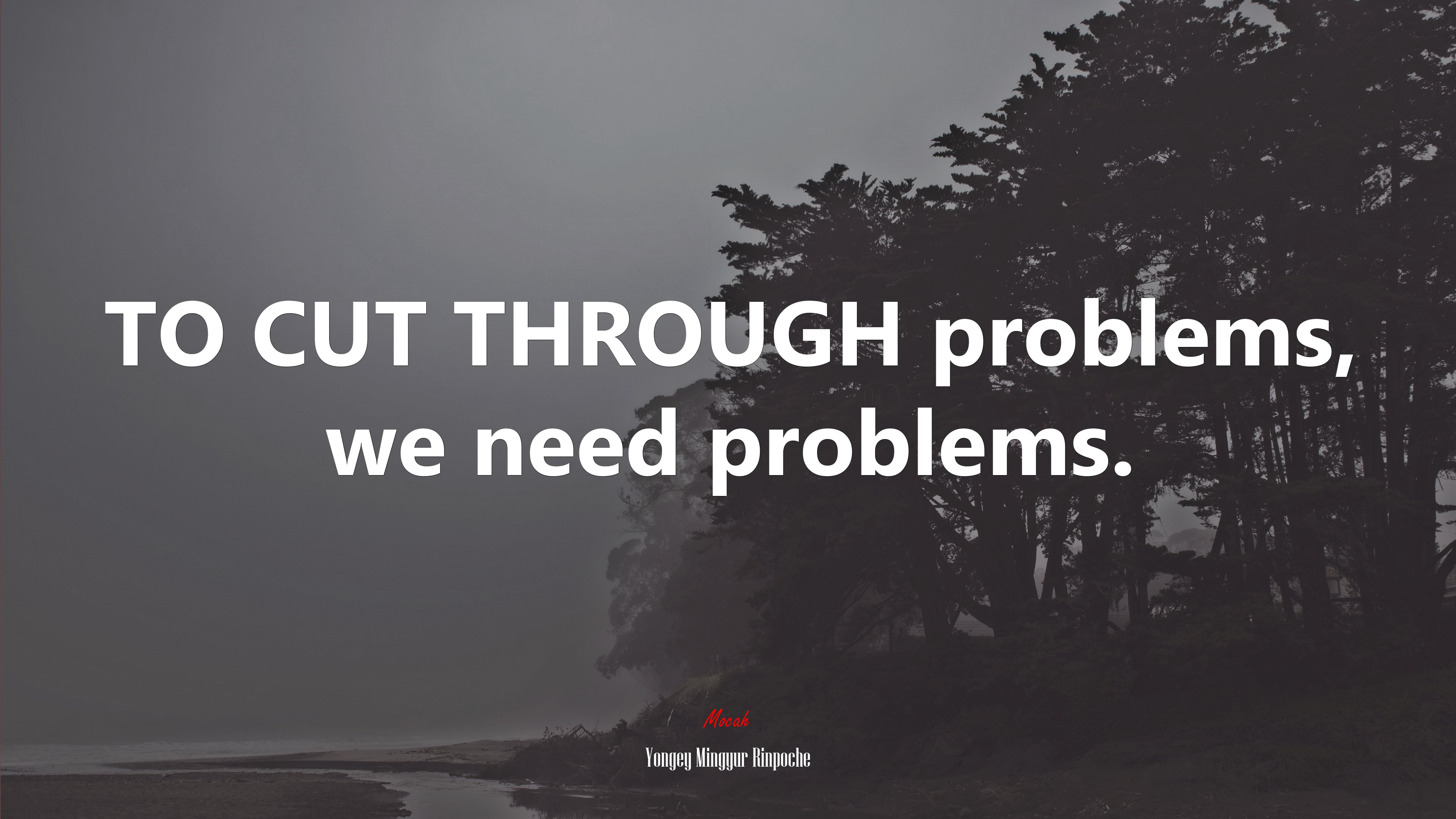 TO CUT THROUGH problems, we need problems. | Yongey Mingyur Rinpoche quote HD Wallpaper