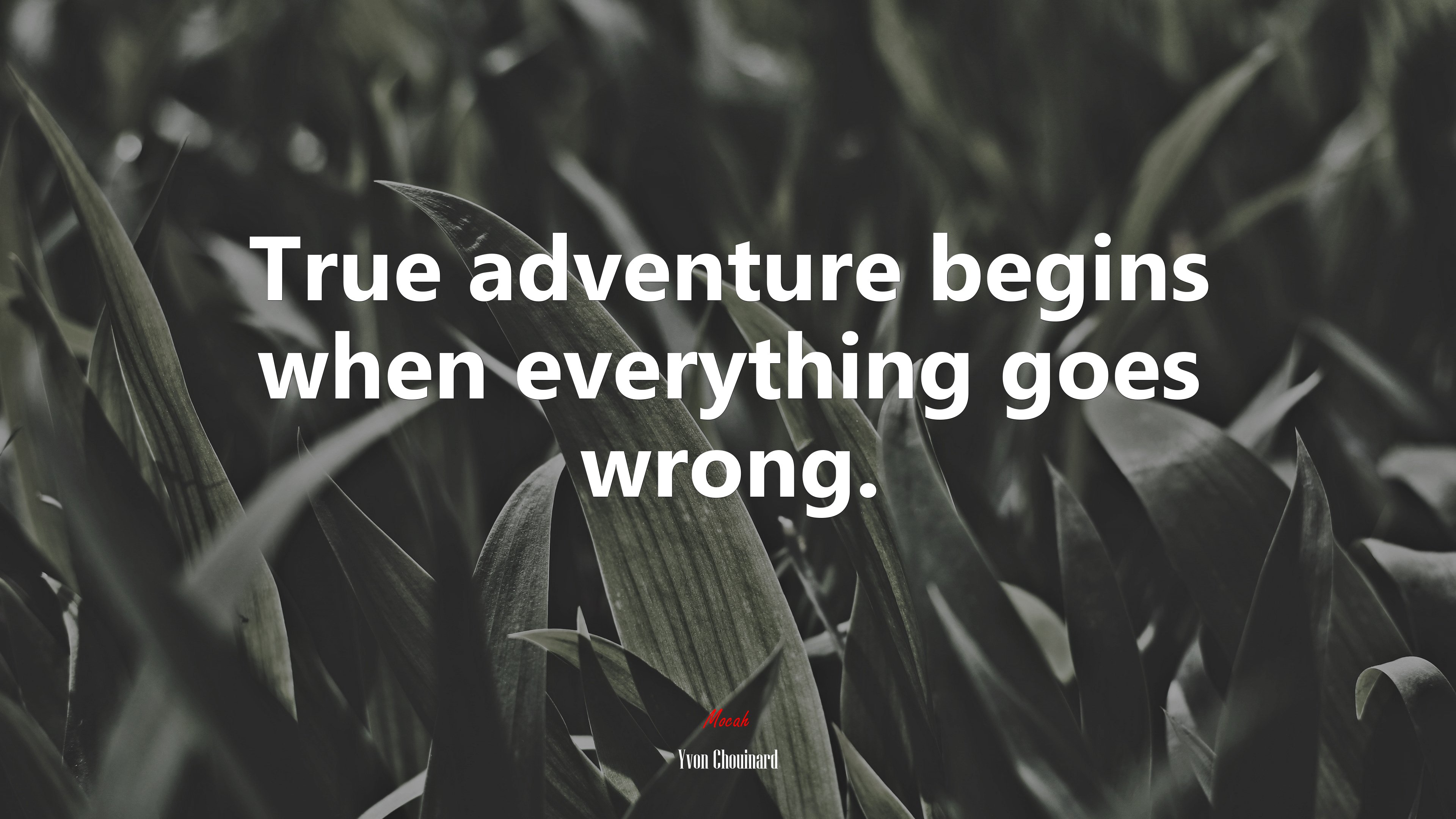 True adventure begins when everything goes wrong. | Yvon Chouinard quote HD Wallpaper