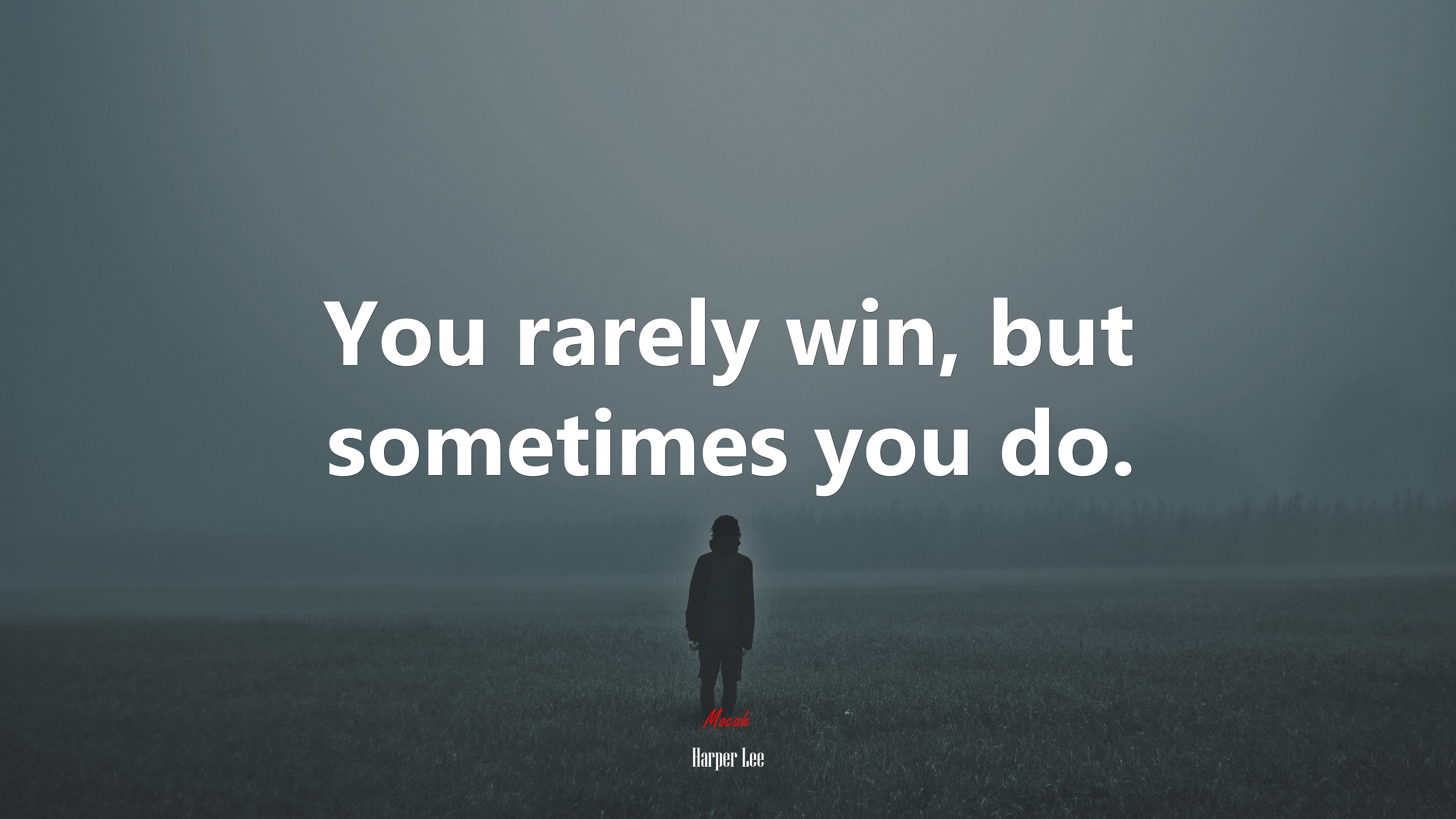 You rarely win, but sometimes you do. | Harper Lee quote HD Wallpaper