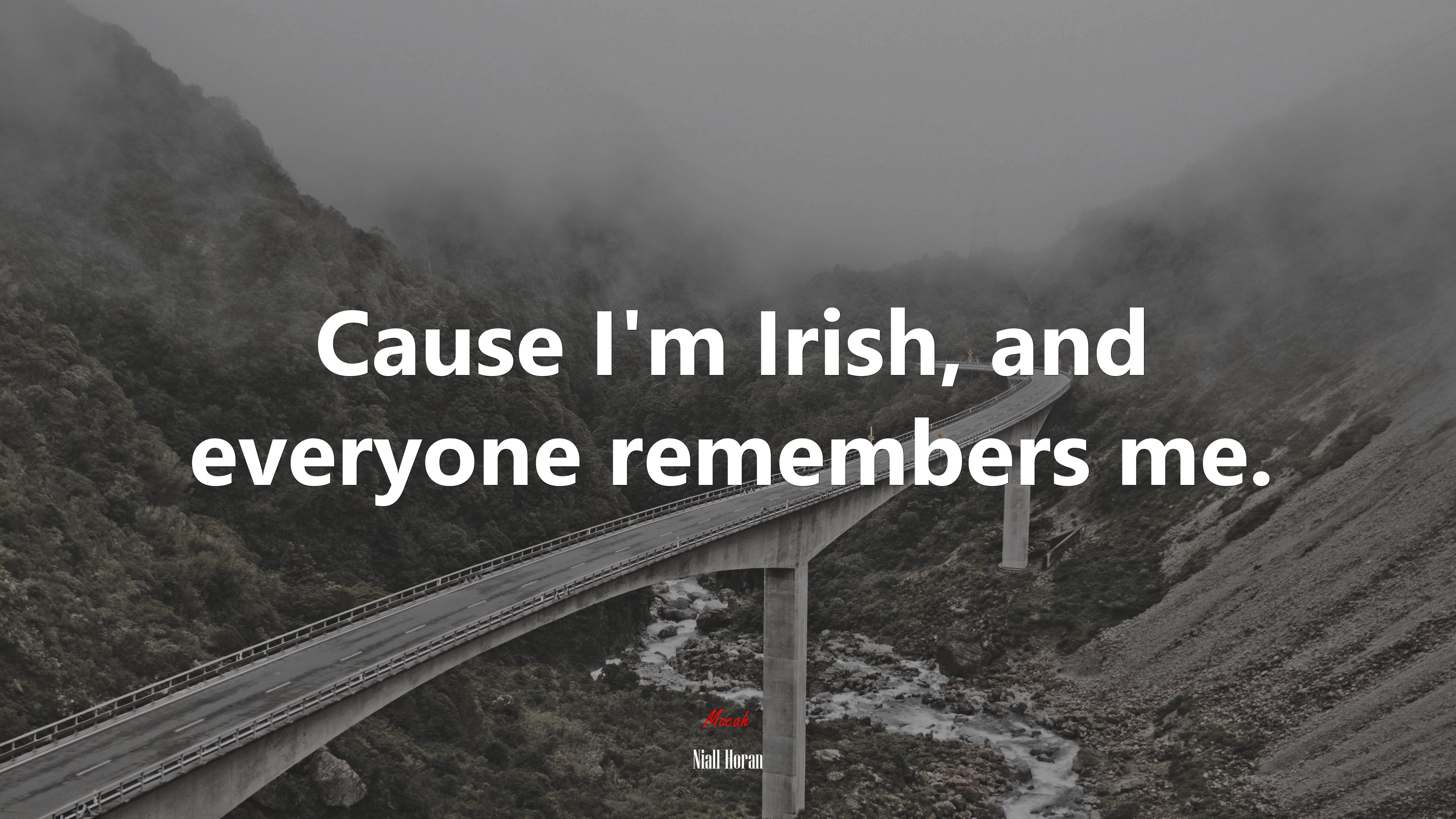Cause I’m Irish, and everyone remembers me. | Niall Horan quote HD Wallpaper