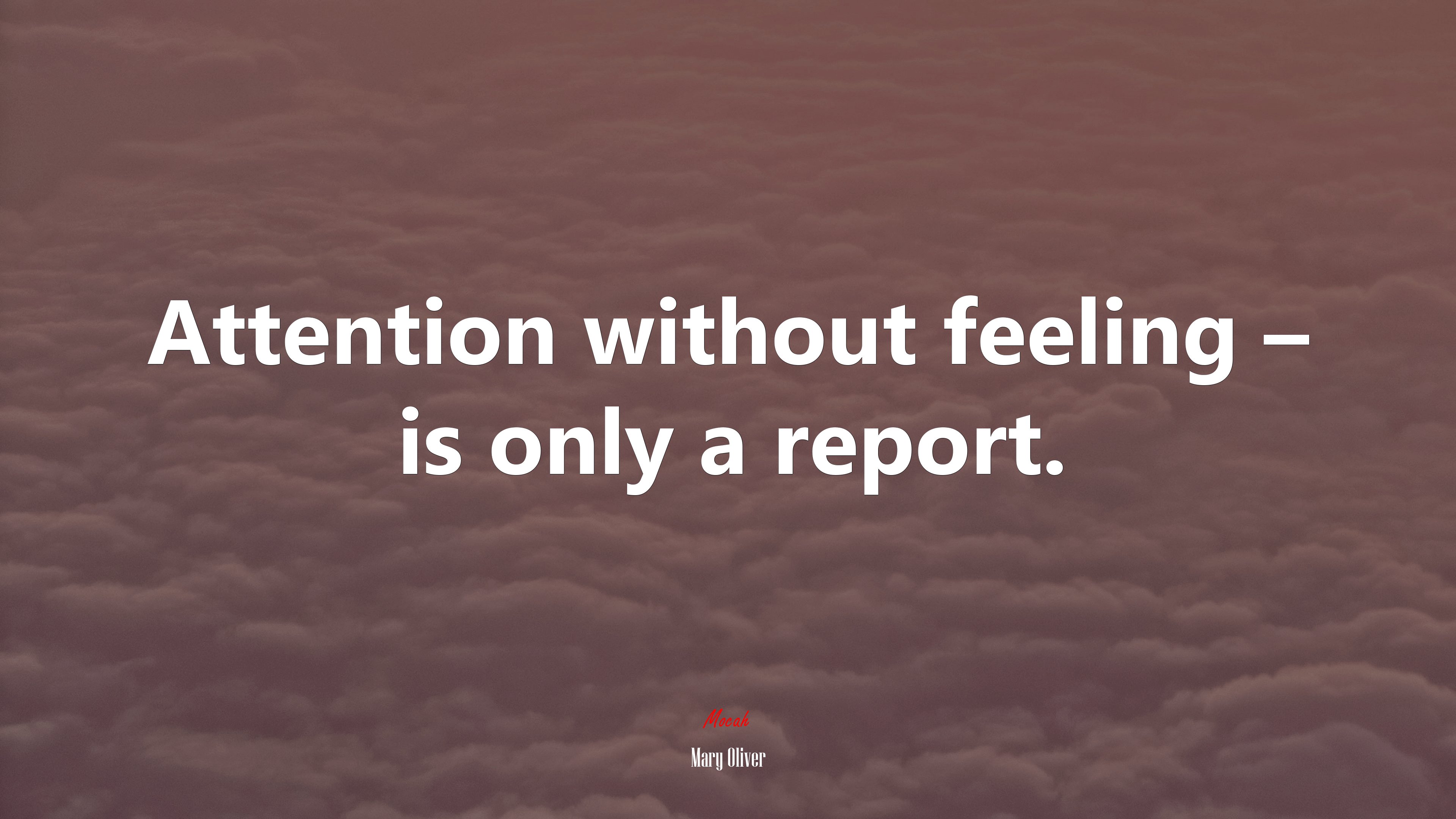 Attention without feeling – is only a report. | Mary Oliver quote HD Wallpaper
