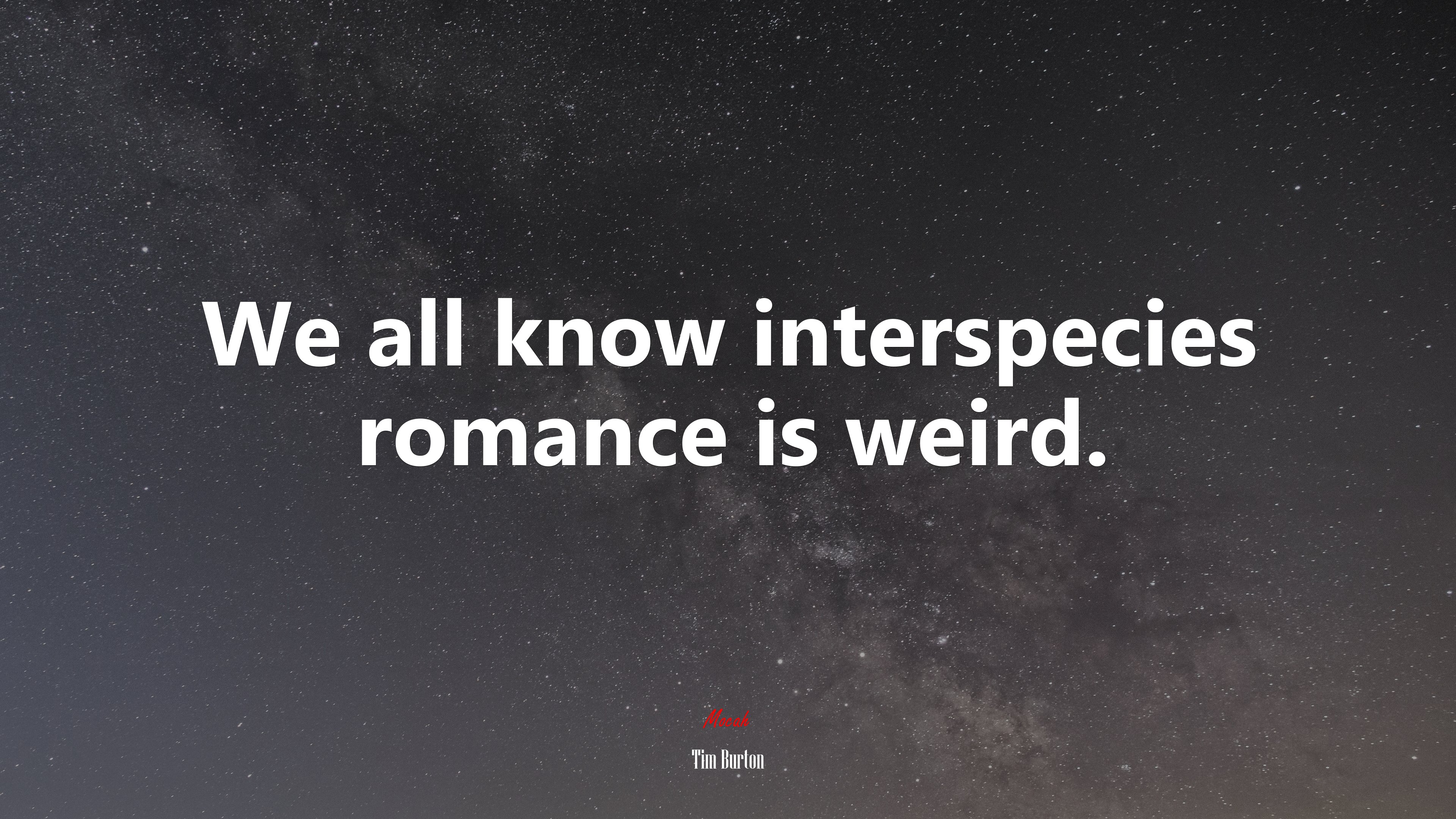 We all know interspecies romance is weird. | Tim Burton quote HD Wallpaper