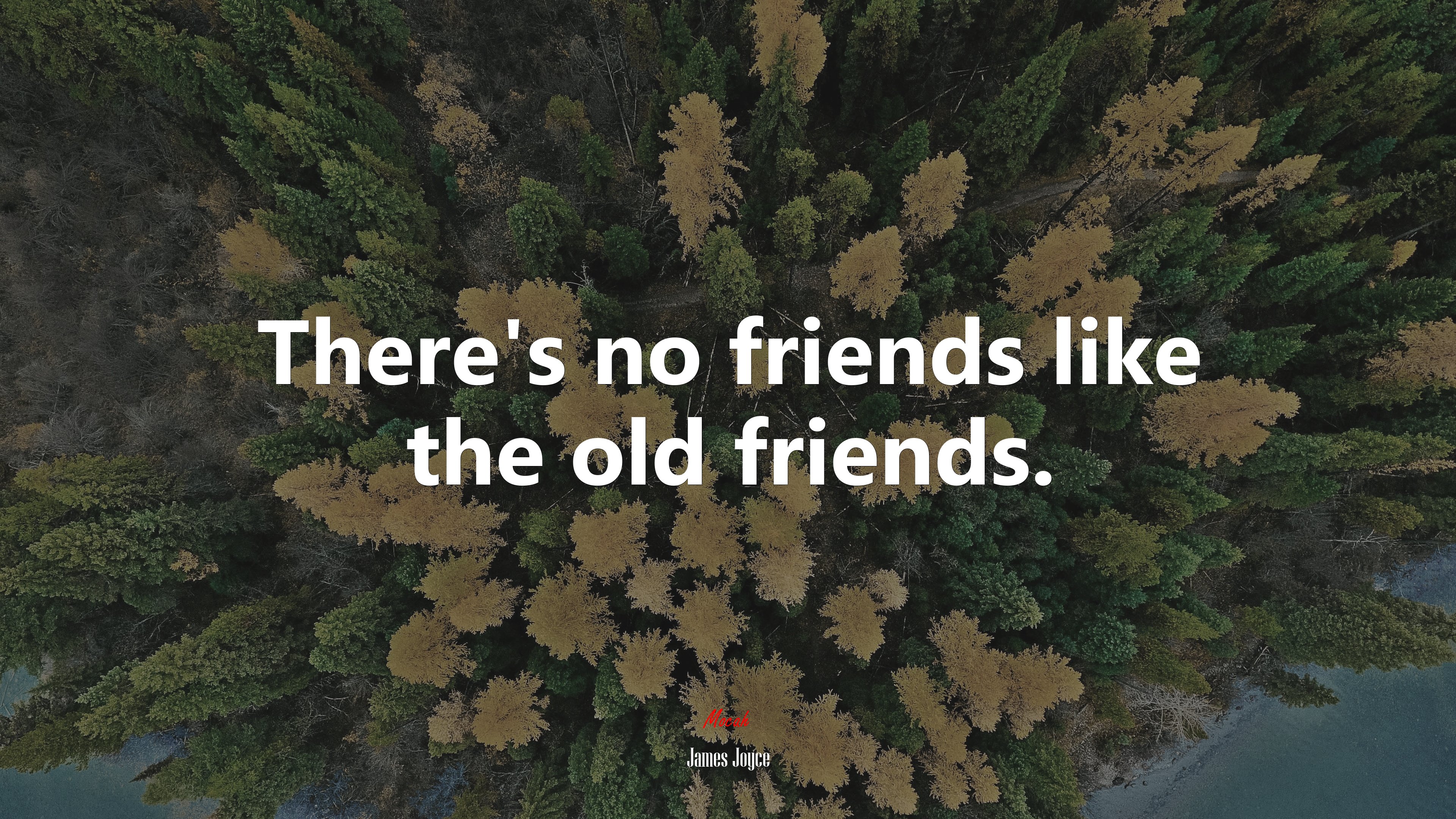 There’s no friends like the old friends. | James Joyce quote HD Wallpaper