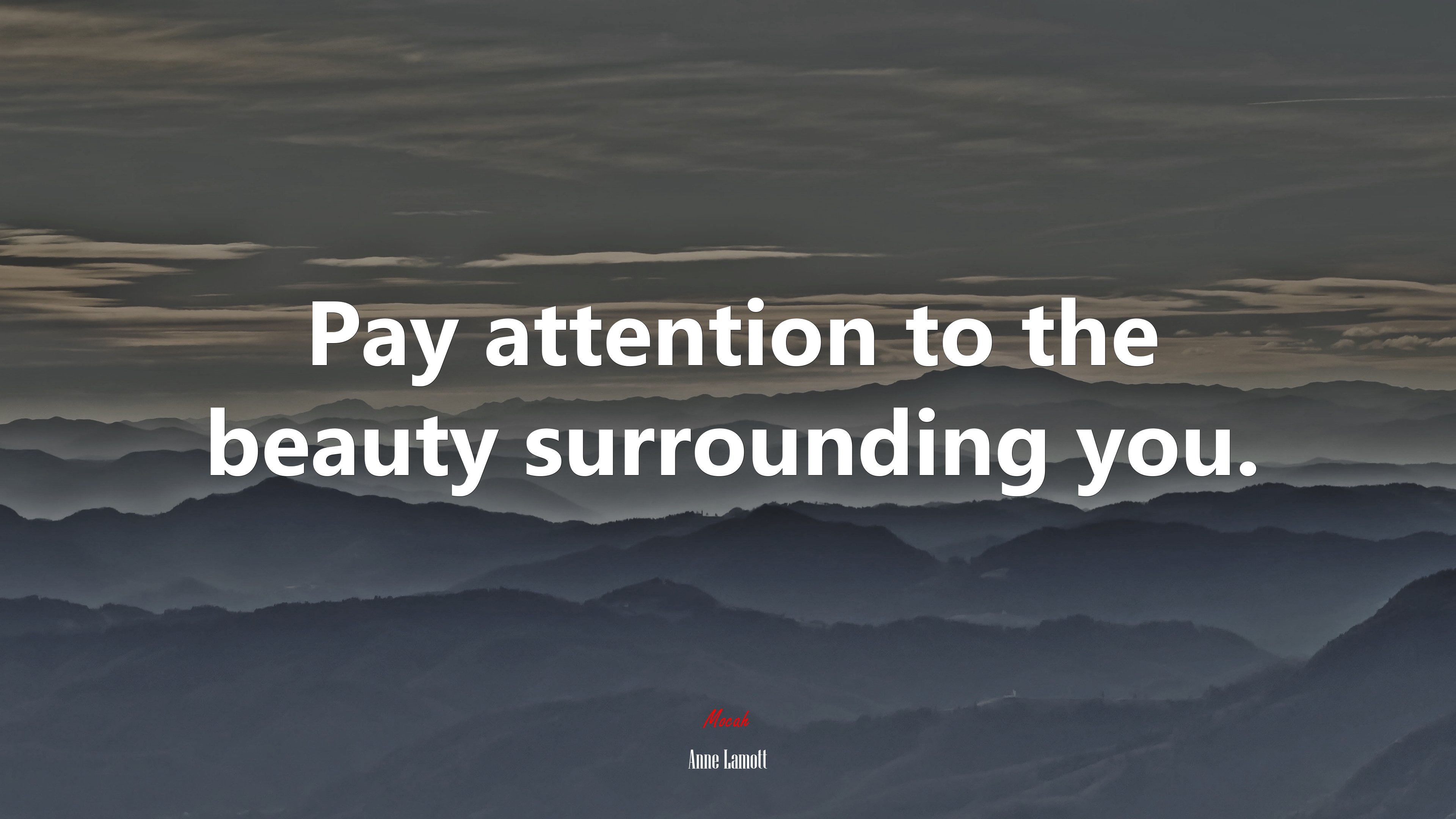 Pay attention to the beauty surrounding you. | Anne Lamott quote HD Wallpaper
