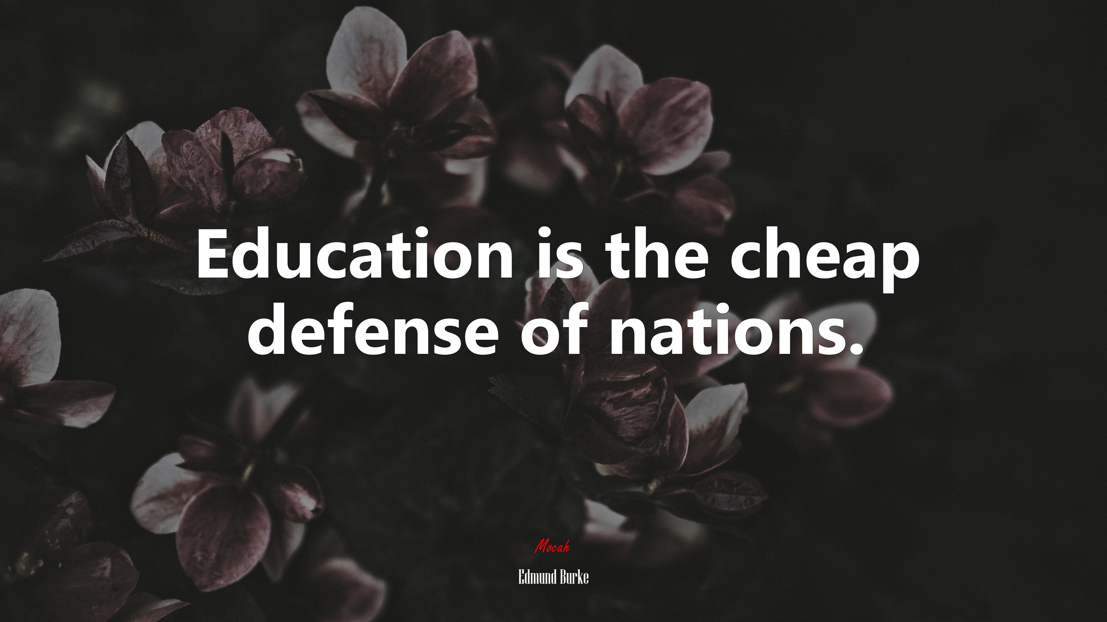 Education is the cheap defense of nations. | Edmund Burke quote HD Wallpaper