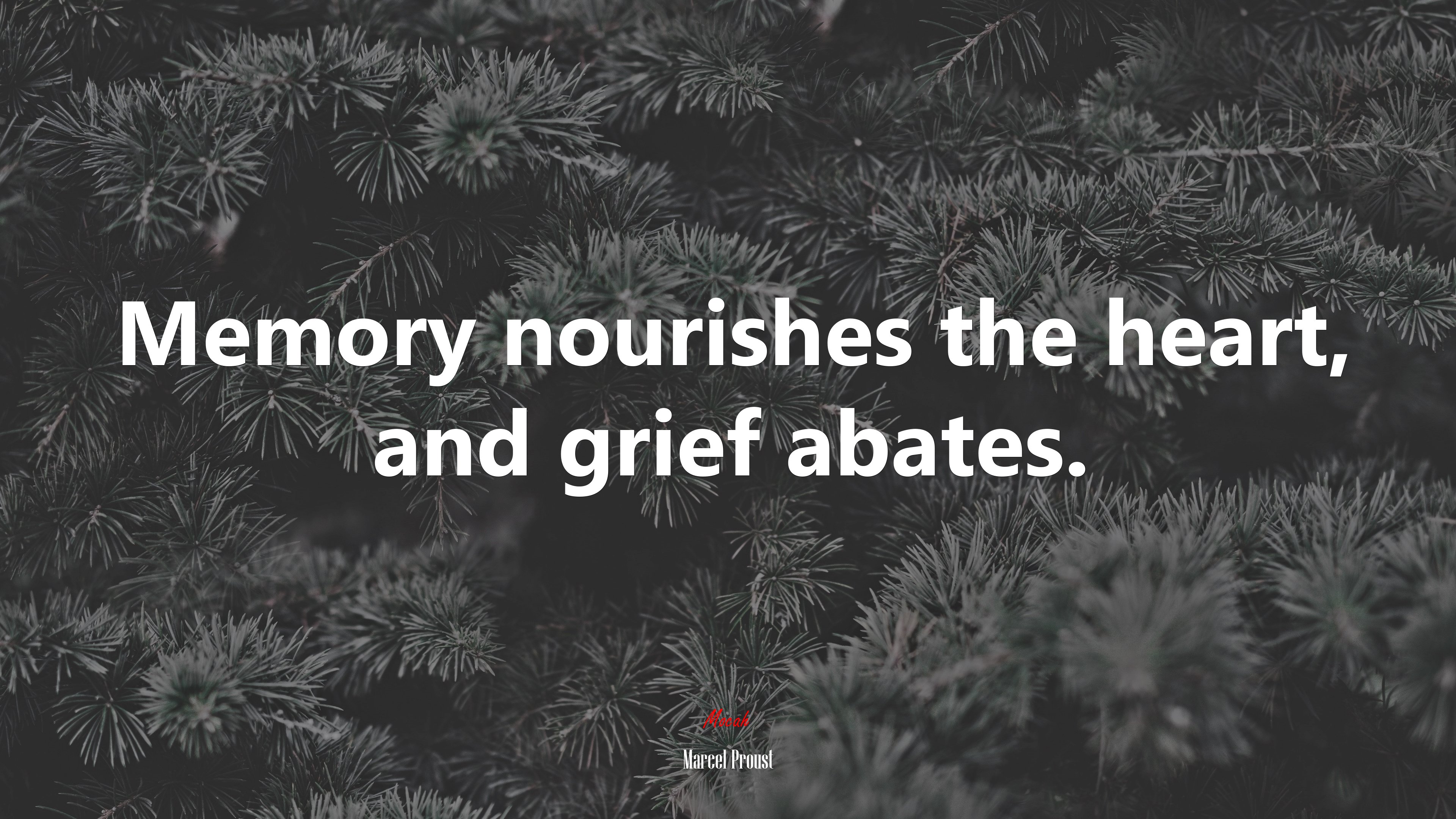 Memory nourishes the heart, and grief abates. | Marcel Proust quote HD Wallpaper