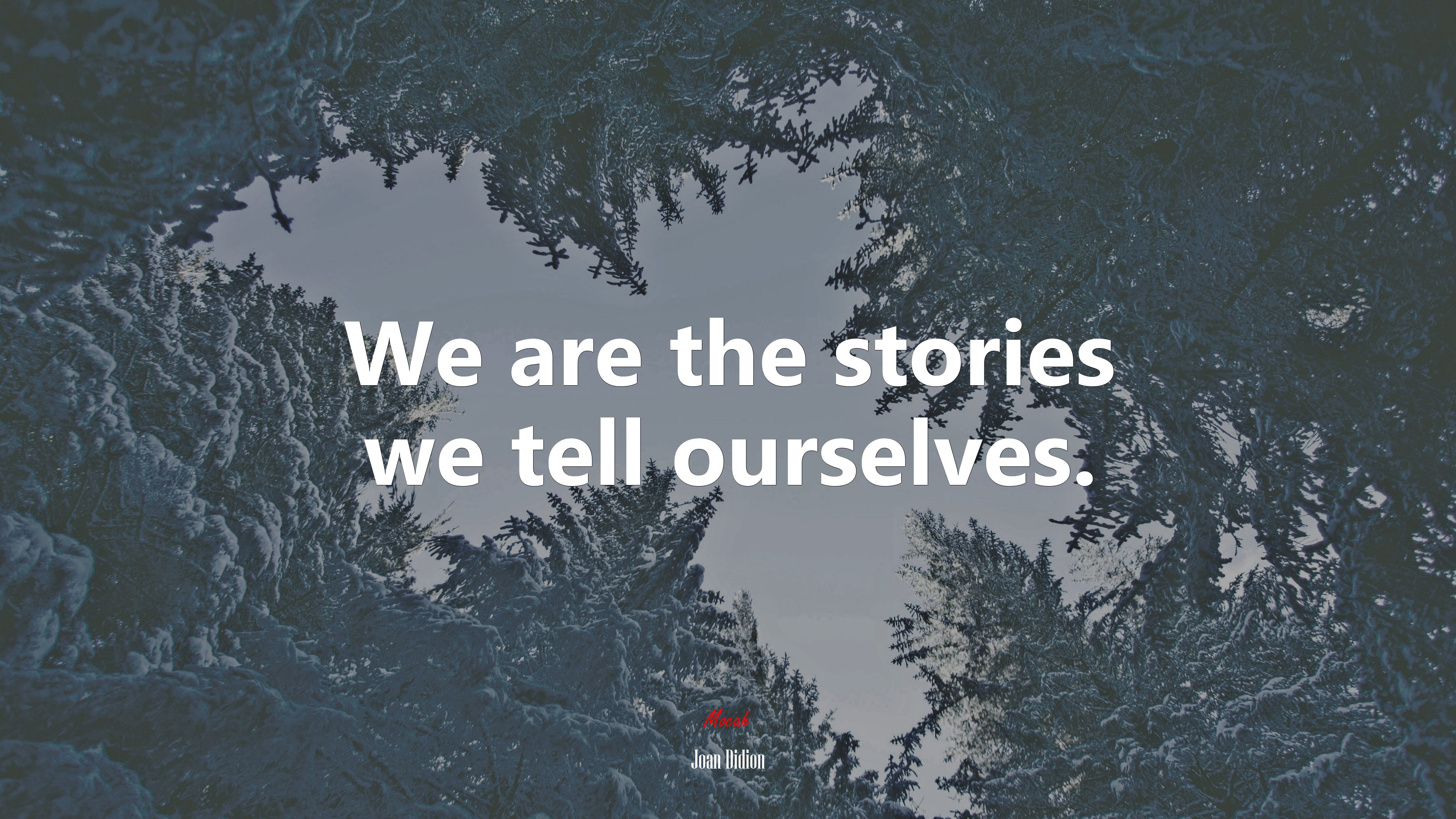 We are the stories we tell ourselves. | Joan Didion quote HD Wallpaper
