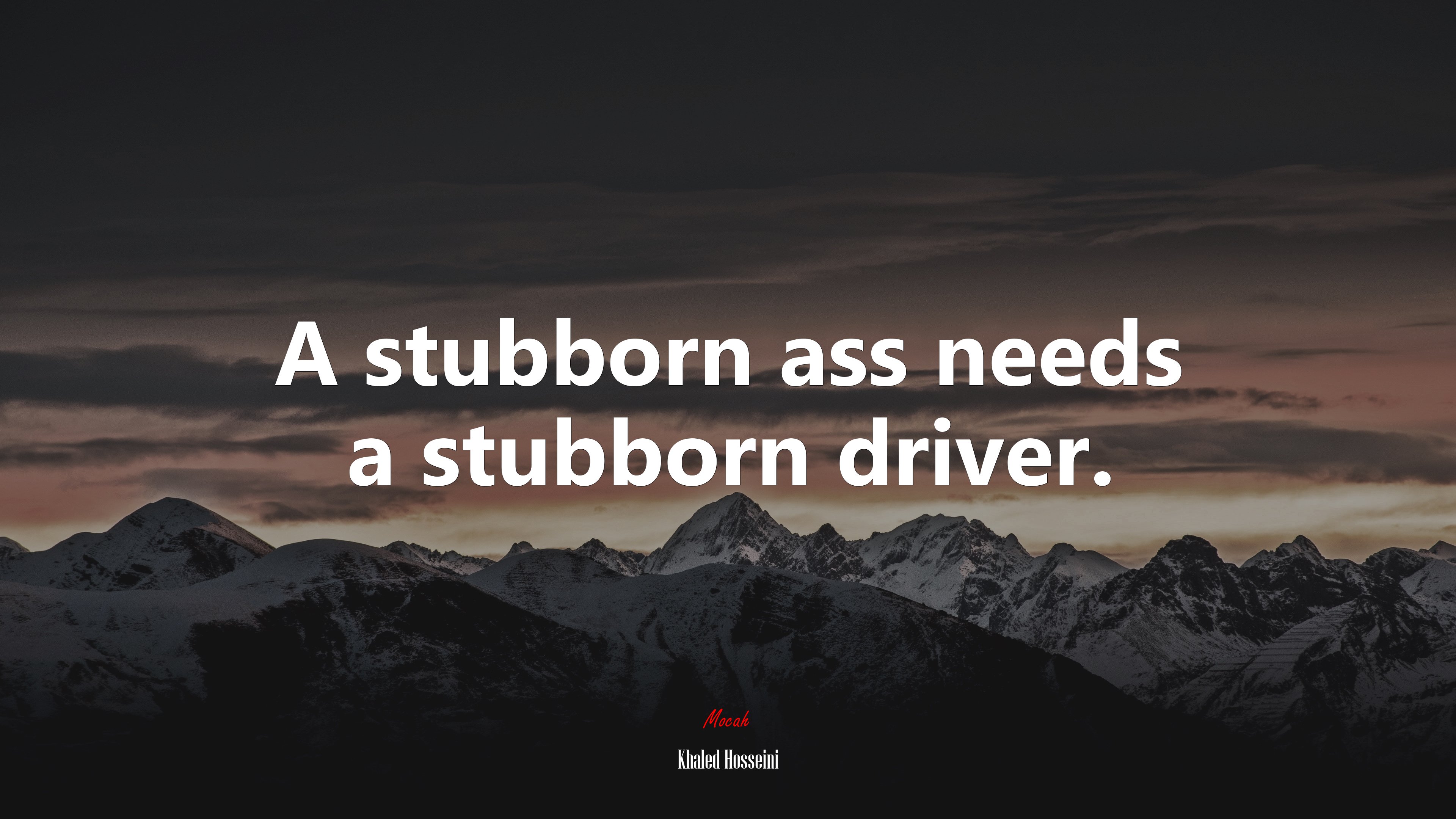 A stubborn ass needs a stubborn driver. | Khaled Hosseini quote HD Wallpaper