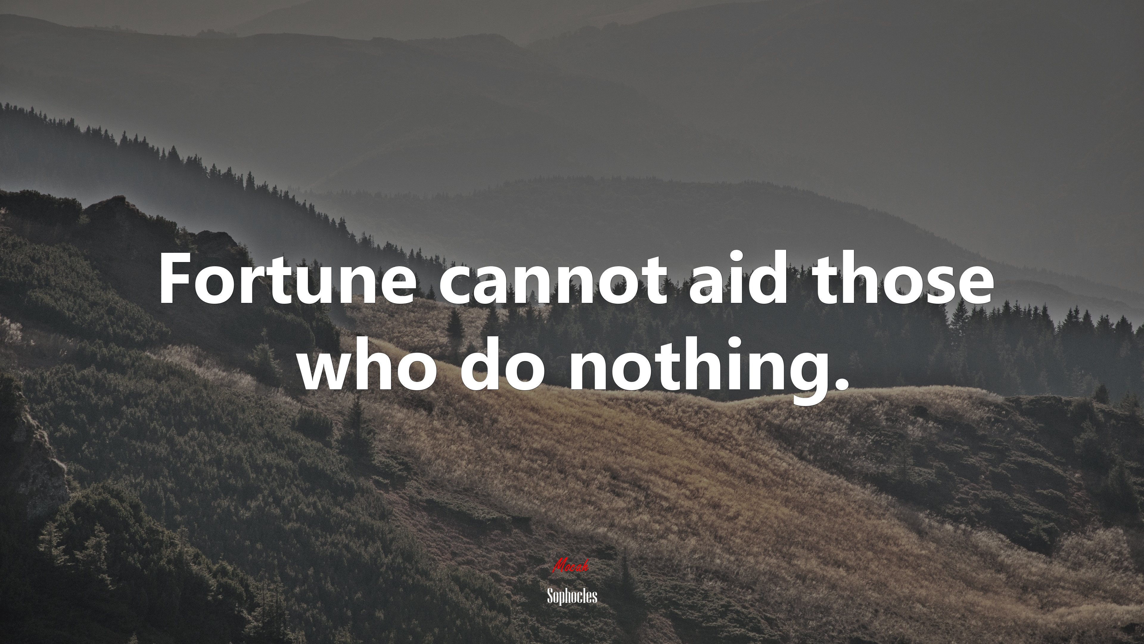 Fortune cannot aid those who do nothing. | Sophocles quote HD Wallpaper