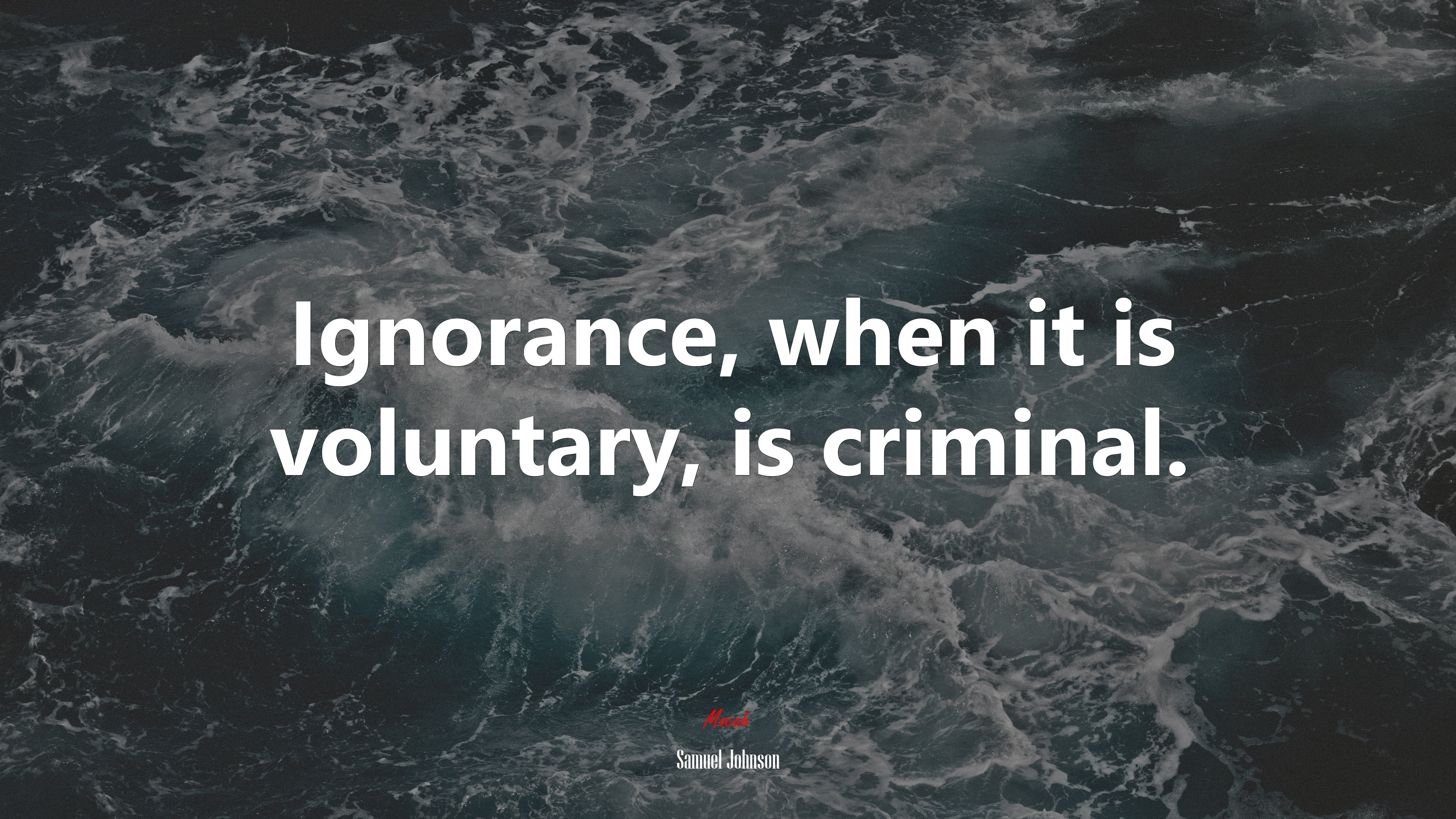 Ignorance, when it is voluntary, is criminal. | Samuel Johnson quote HD Wallpaper