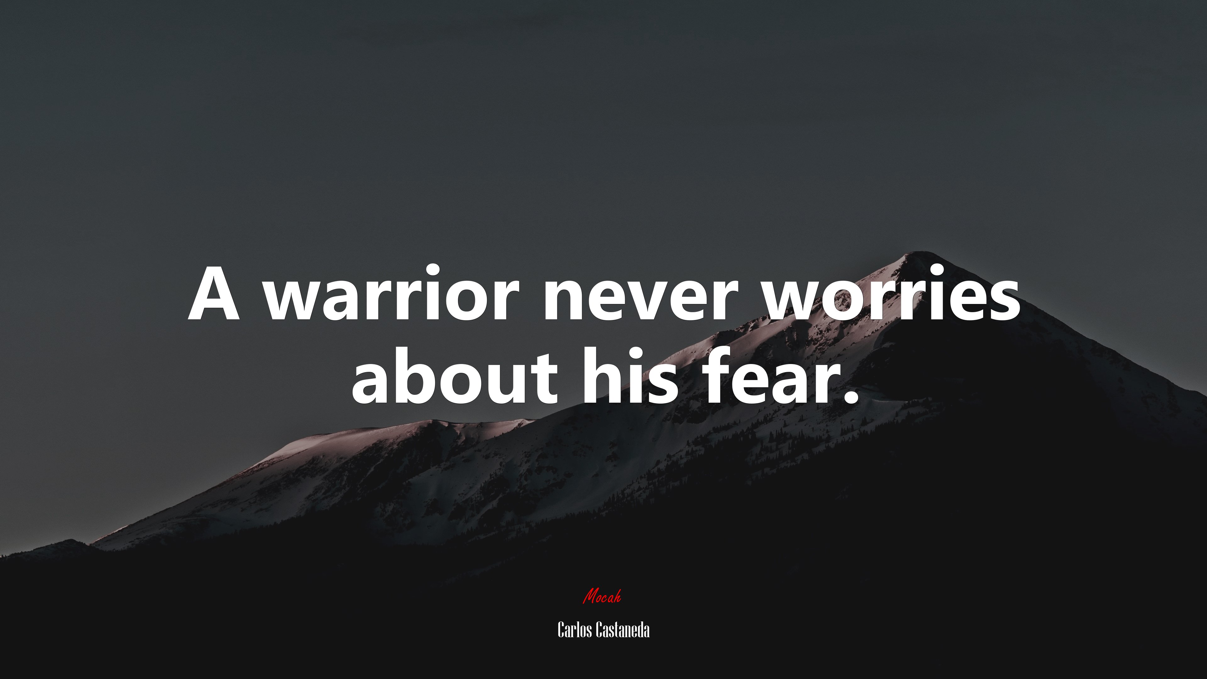 A warrior never worries about his fear. | Carlos Castaneda quote HD Wallpaper