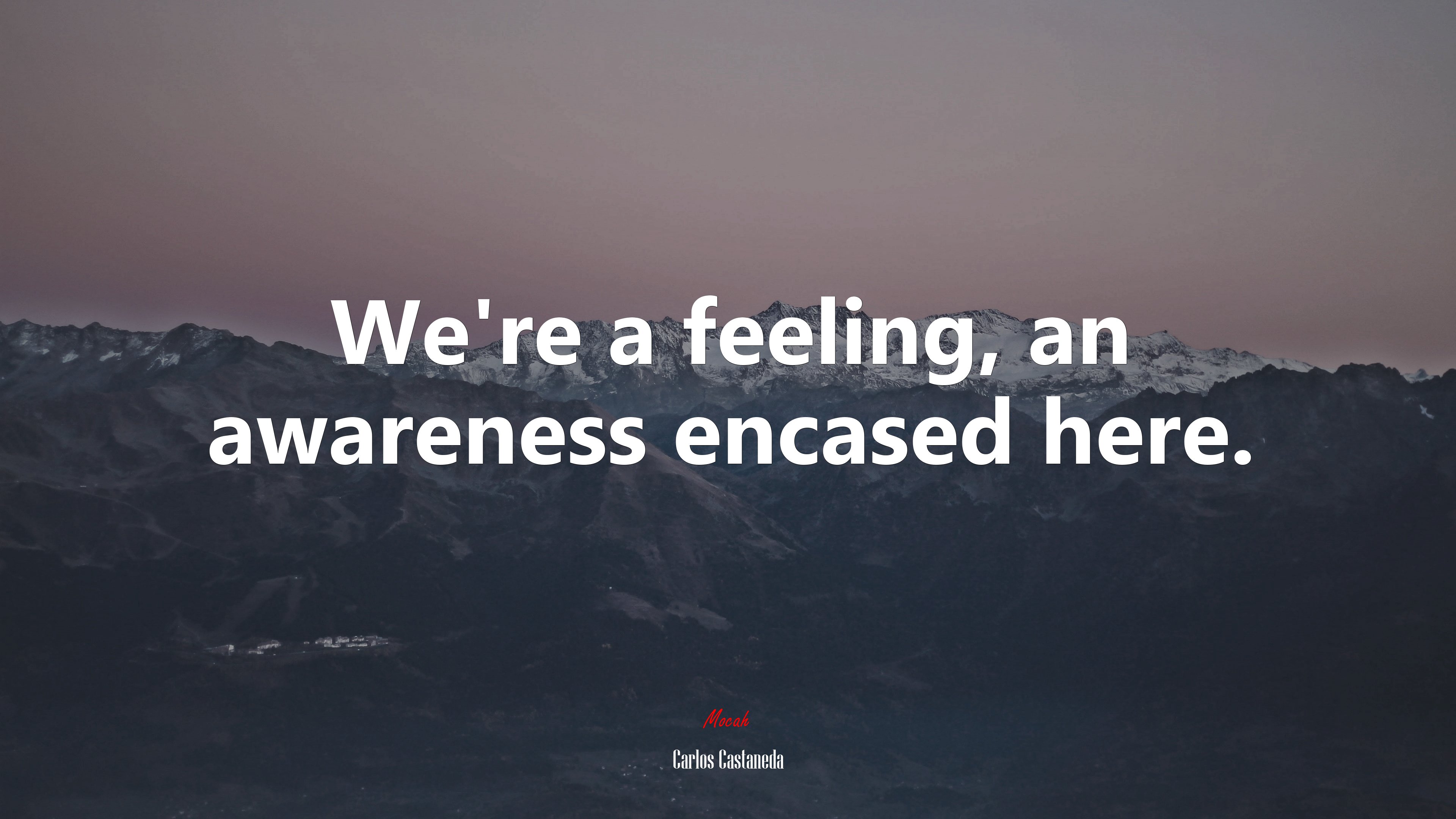 We’re a feeling, an awareness encased here. | Carlos Castaneda quote HD Wallpaper