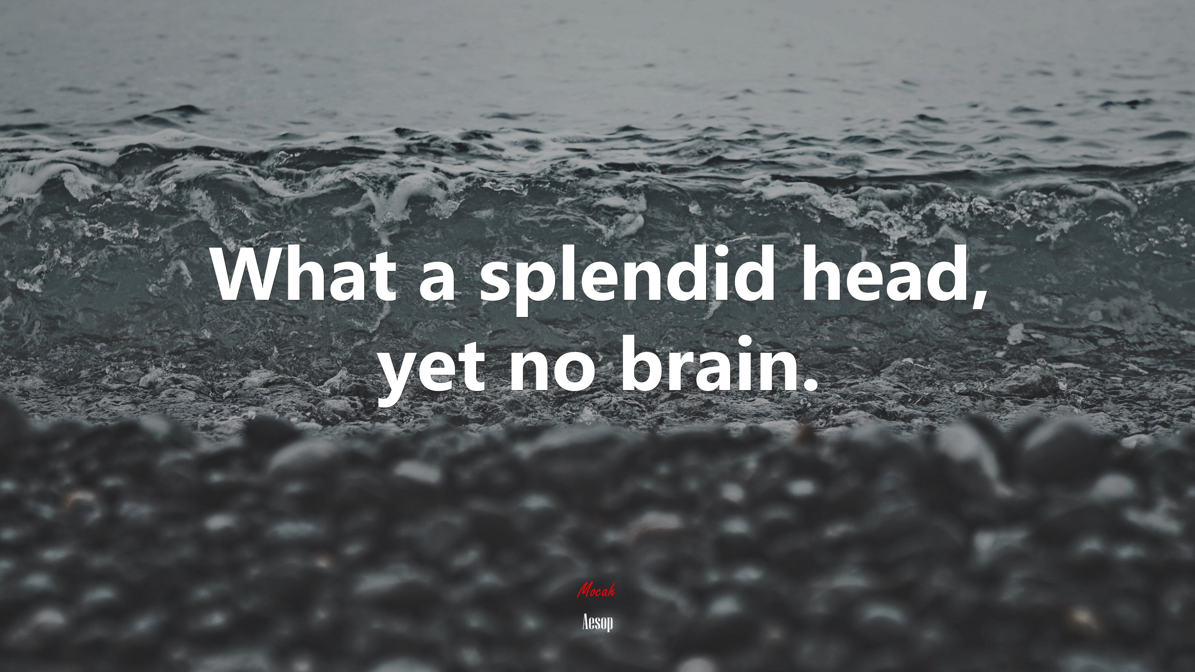 What a splendid head, yet no brain. | Aesop quote HD Wallpaper
