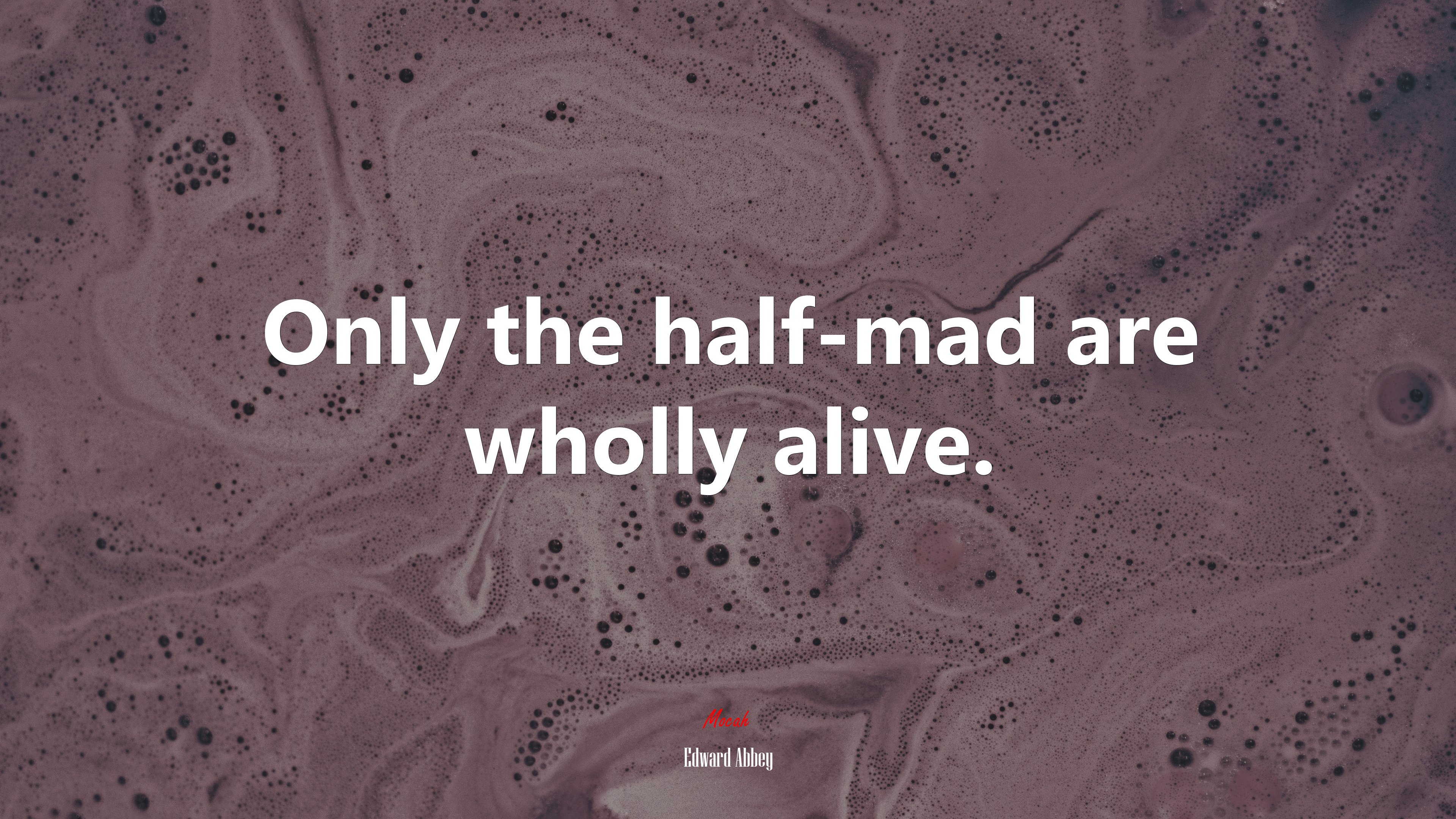 Only the half-mad are wholly alive. | Edward Abbey quote HD Wallpaper