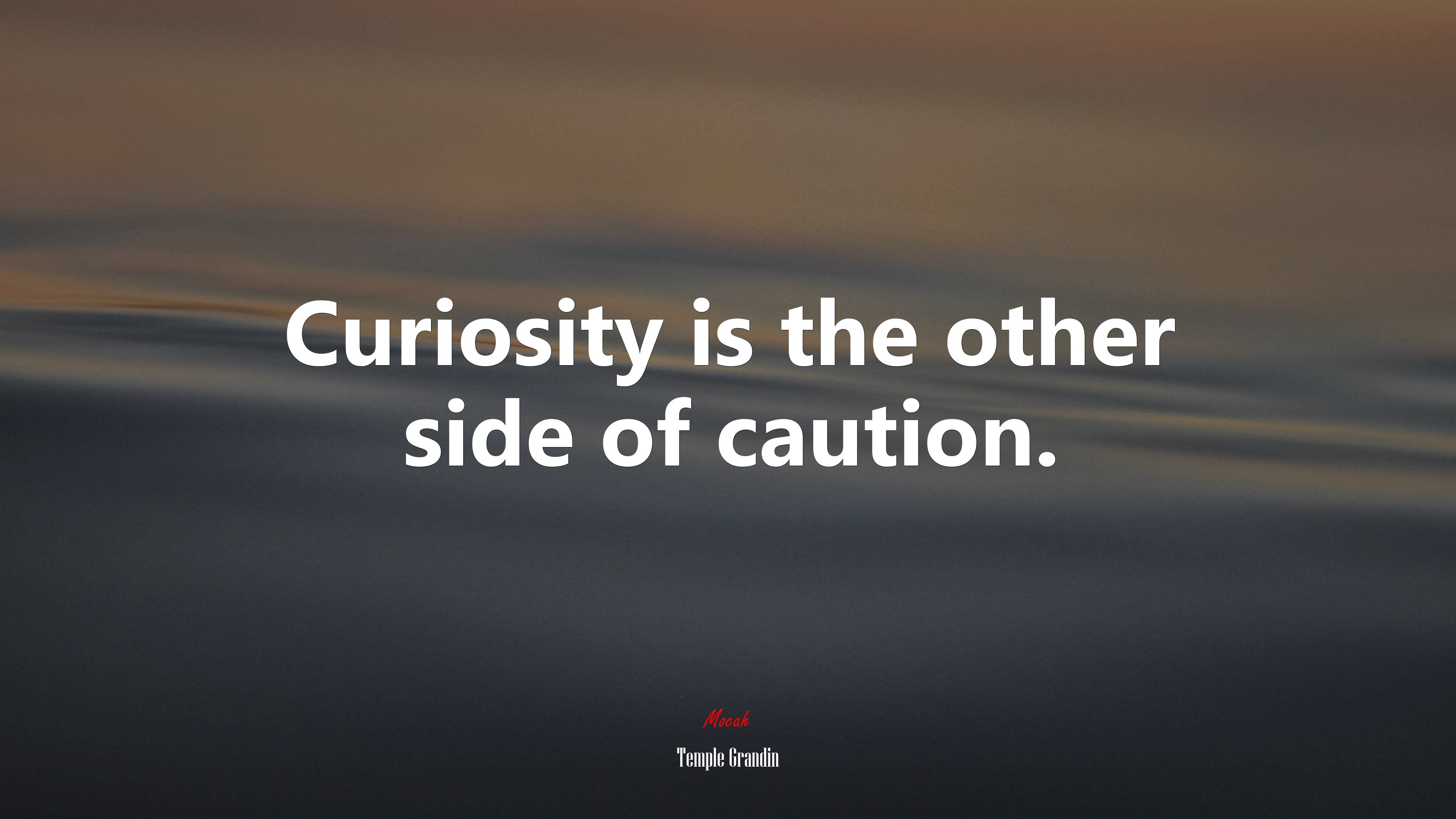 Curiosity is the other side of caution. | Temple Grandin quote HD Wallpaper