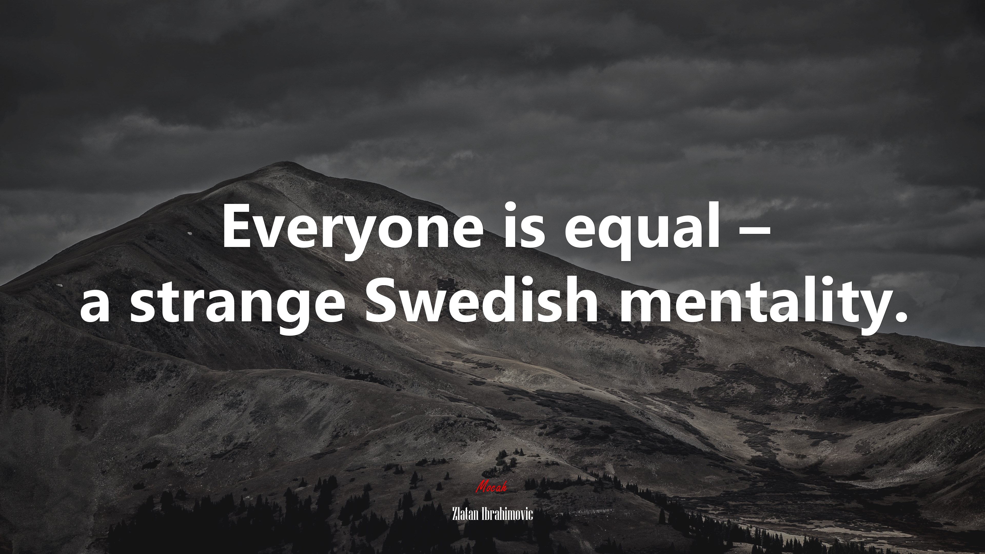 Everyone is equal – a strange Swedish mentality. | Zlatan Ibrahimovic quote HD Wallpaper