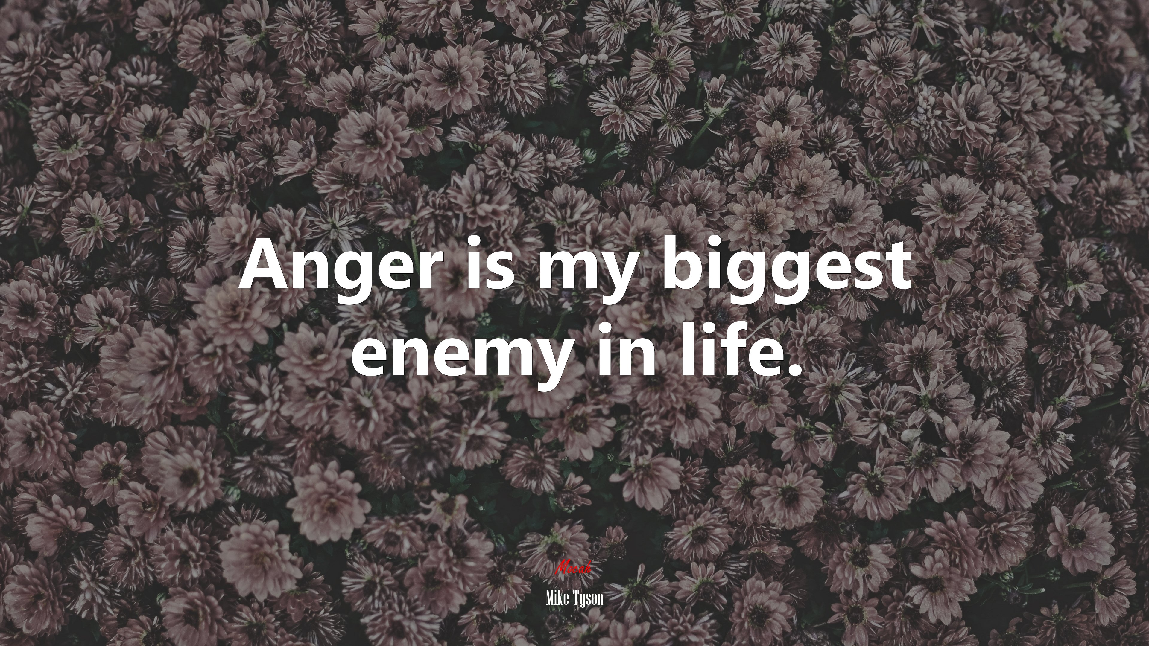 Anger is my biggest enemy in life. | Mike Tyson quote HD Wallpaper