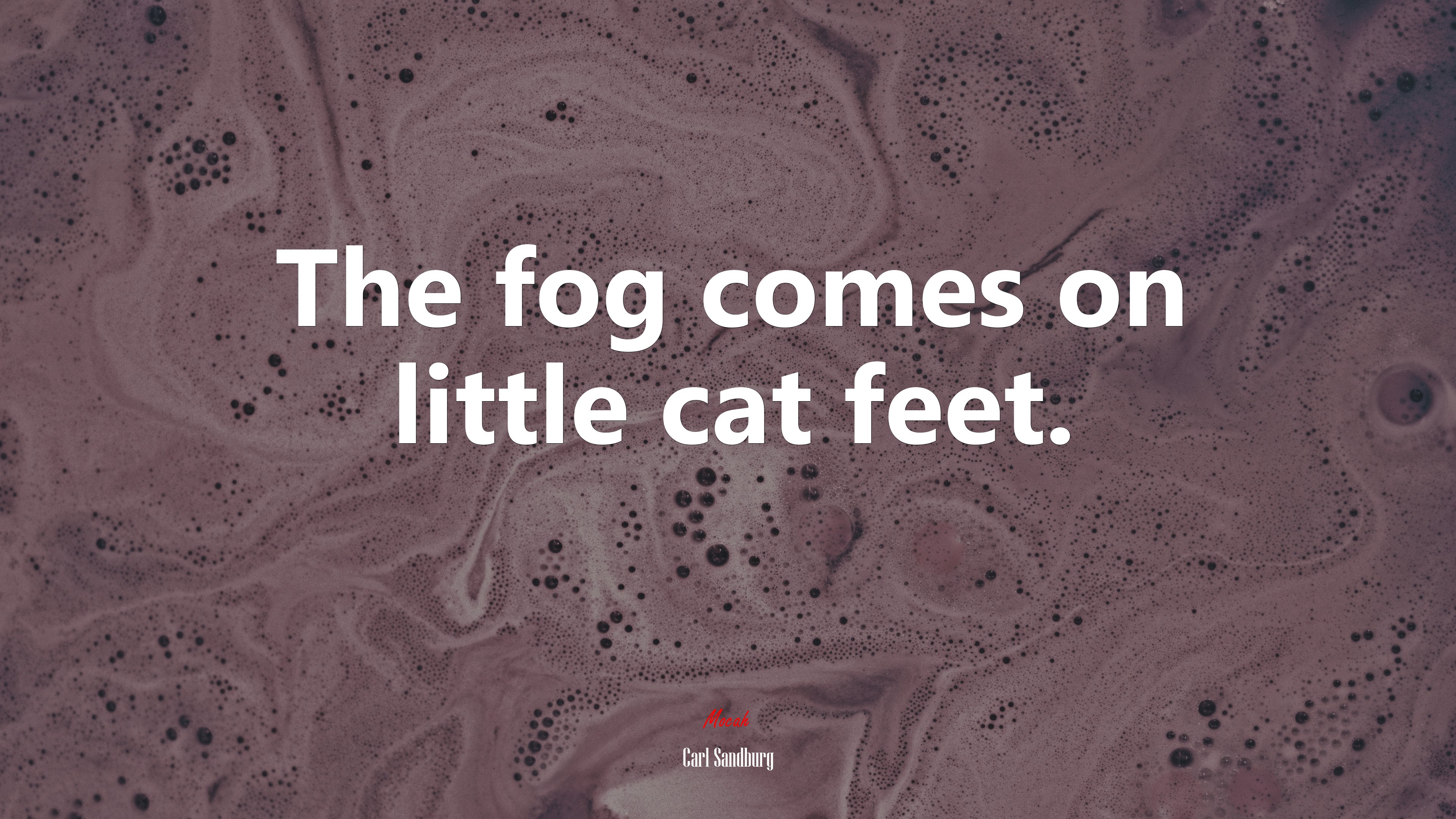 The fog comes on little cat feet. | Carl Sandburg quote HD Wallpaper