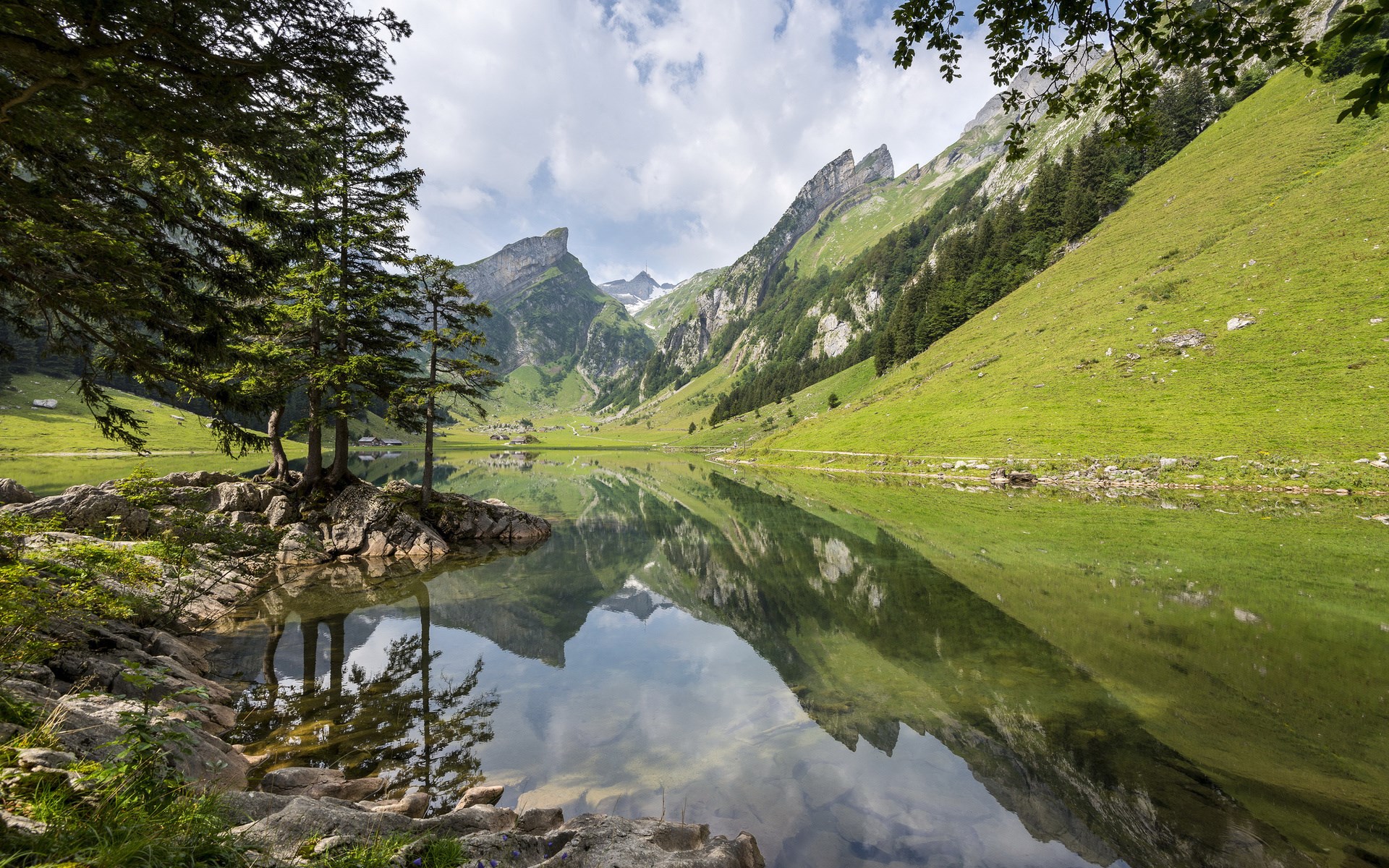 Mountain lake with reflections and trees HD Wallpaper