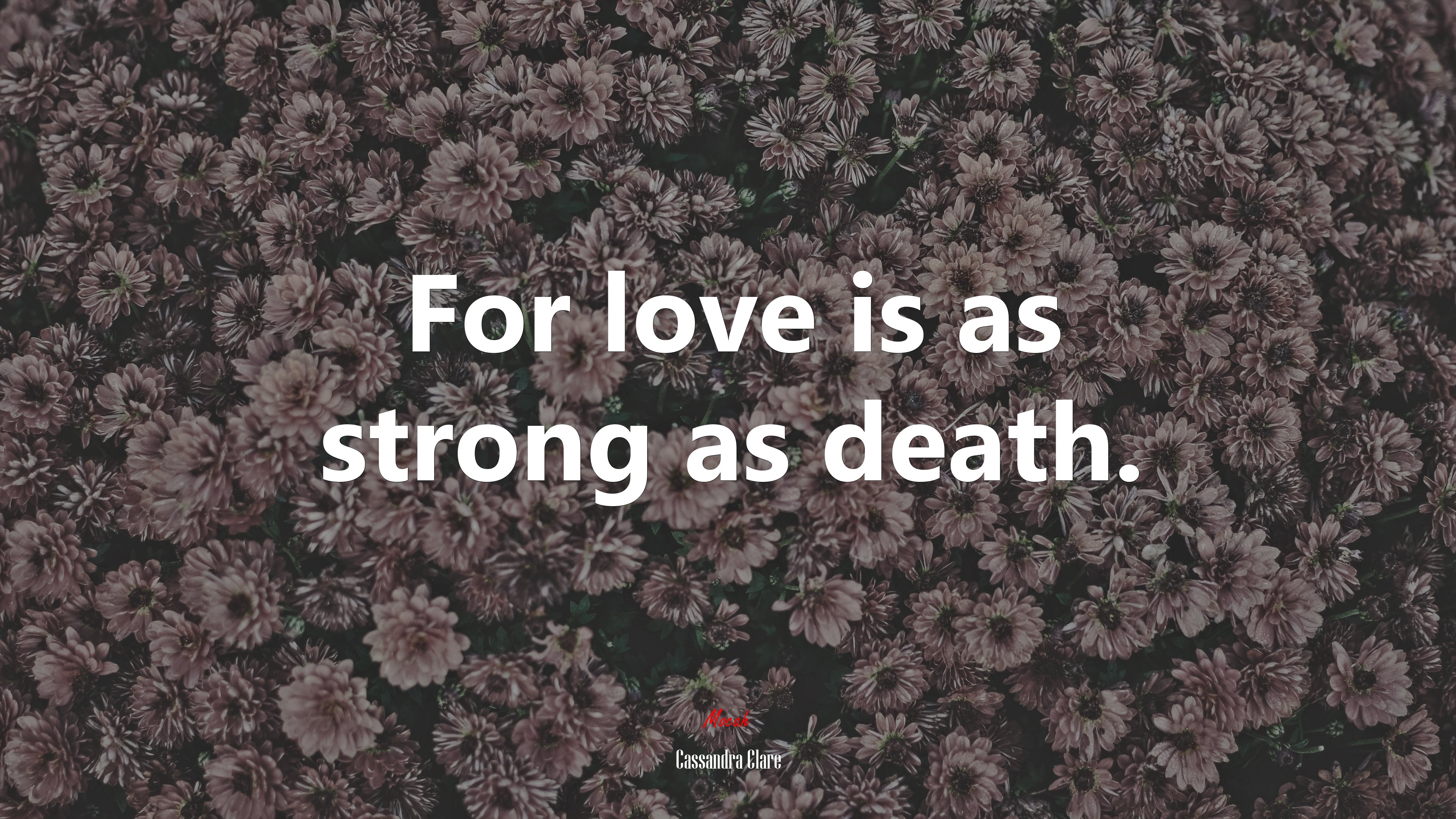 For love is as strong as death. | Cassandra Clare quote HD Wallpaper
