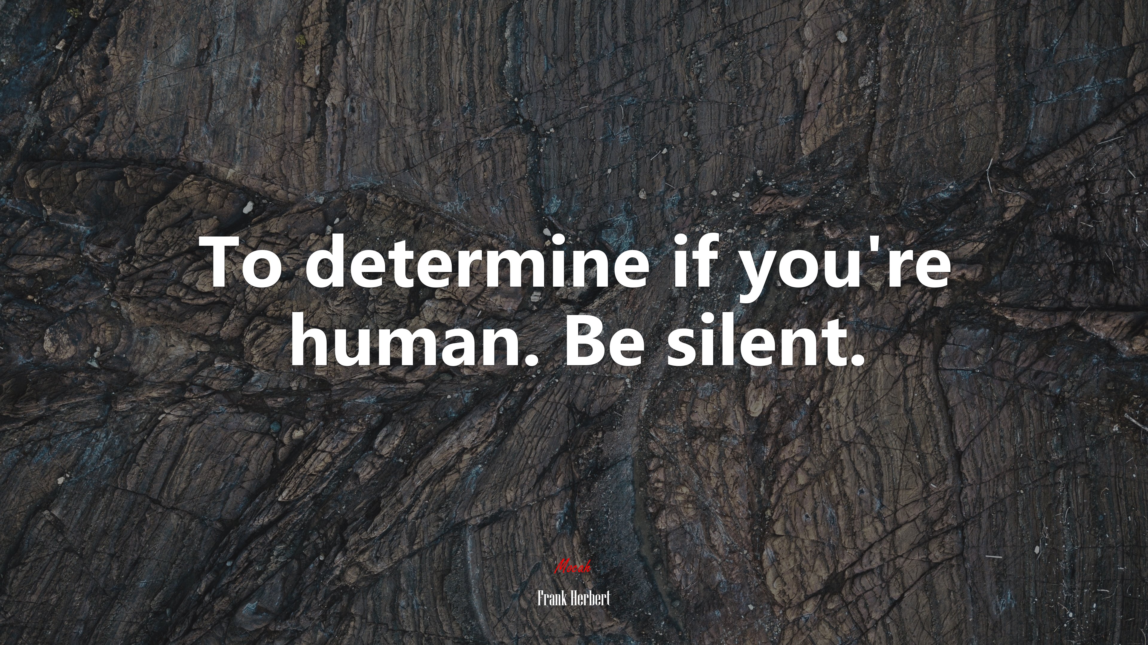 To determine if you’re human. Be silent. | Frank Herbert quote HD Wallpaper