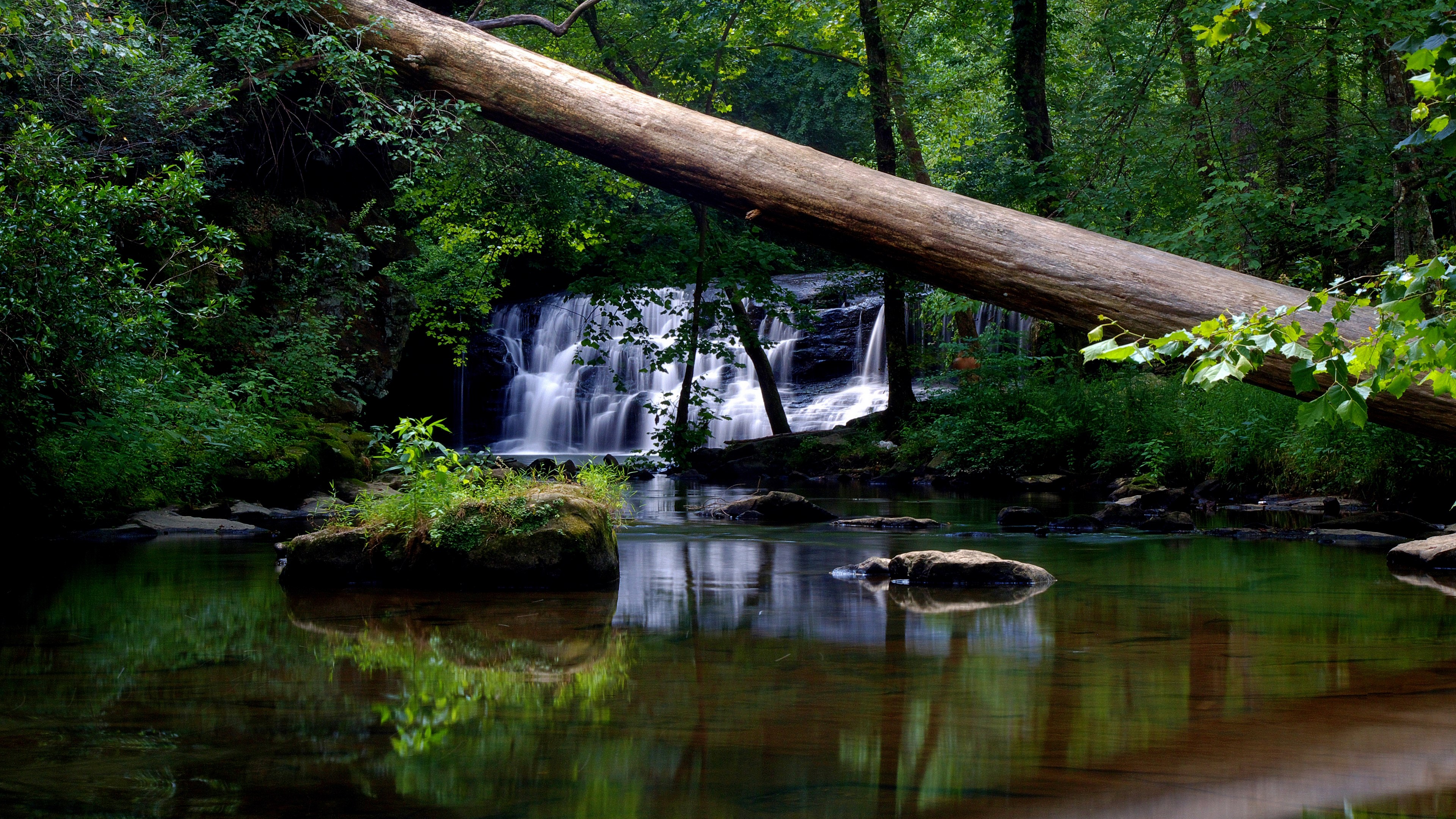 Waterfall in a forest with a fallen tree HD Wallpaper