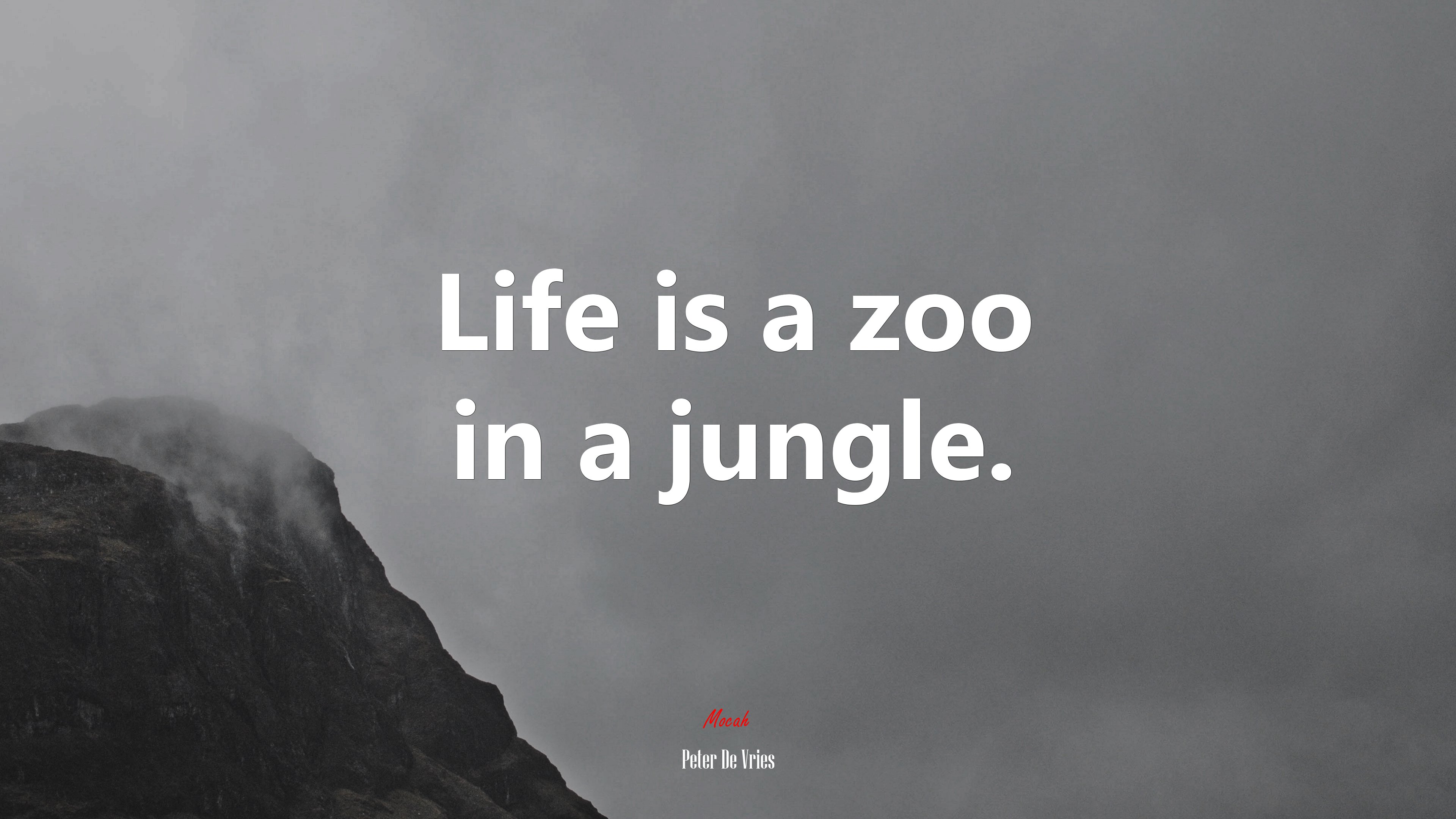 Life is a zoo in a jungle. | Peter De Vries quote HD Wallpaper