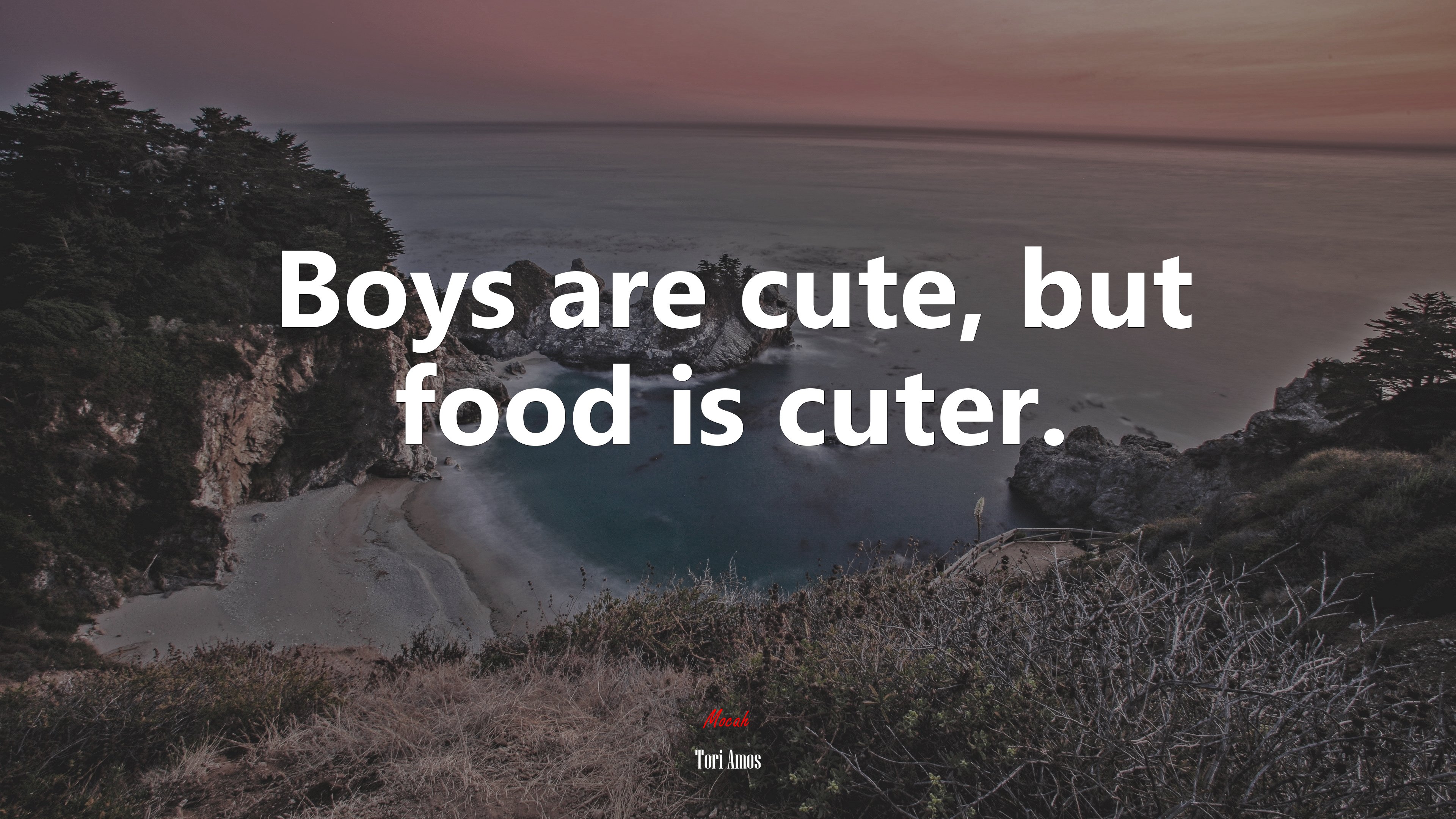 Boys are cute, but food is cuter. | Tori Amos quote HD Wallpaper