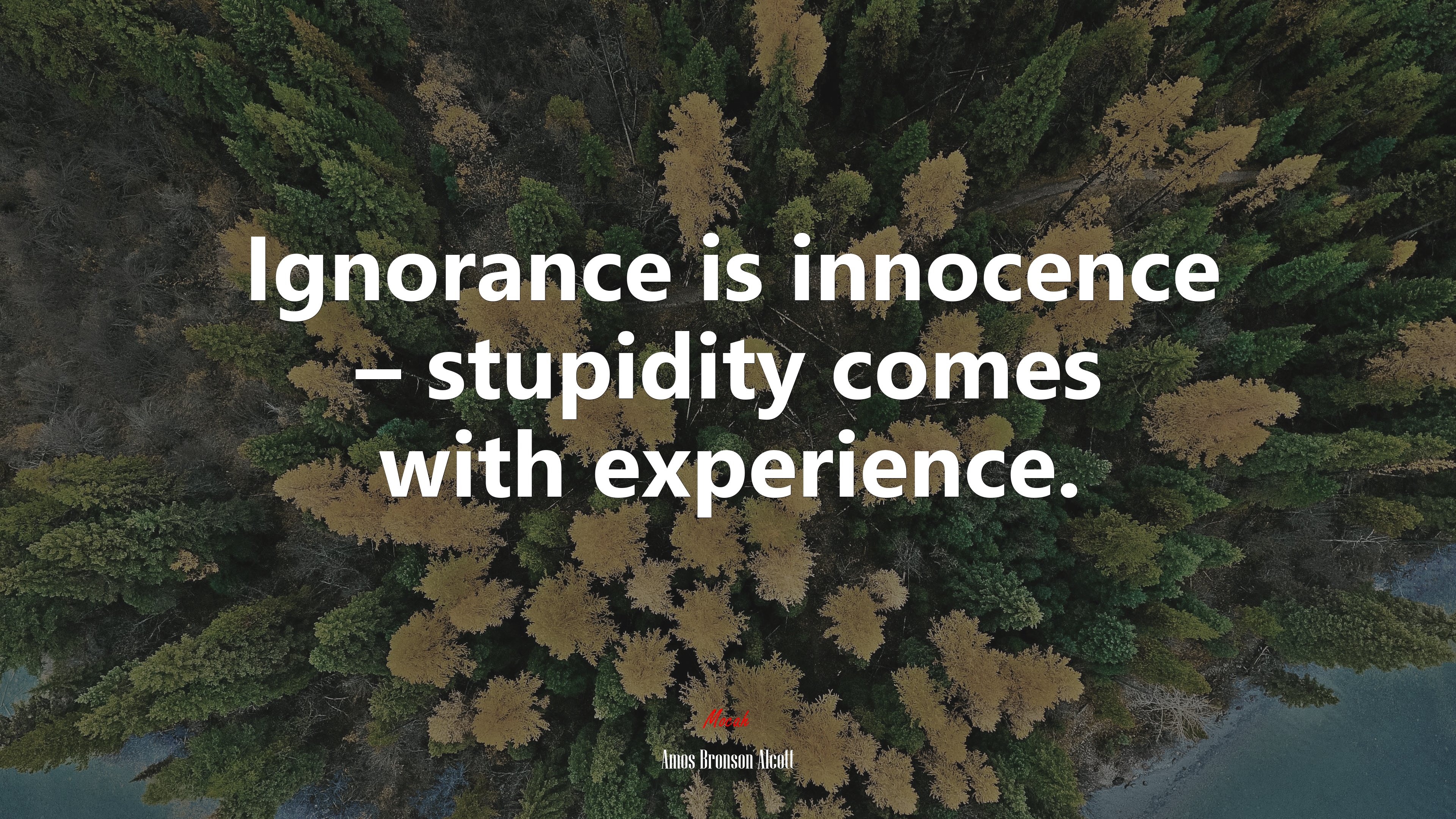 Ignorance is innocence – stupidity comes with experience. | Amos Bronson Alcott quote HD Wallpaper