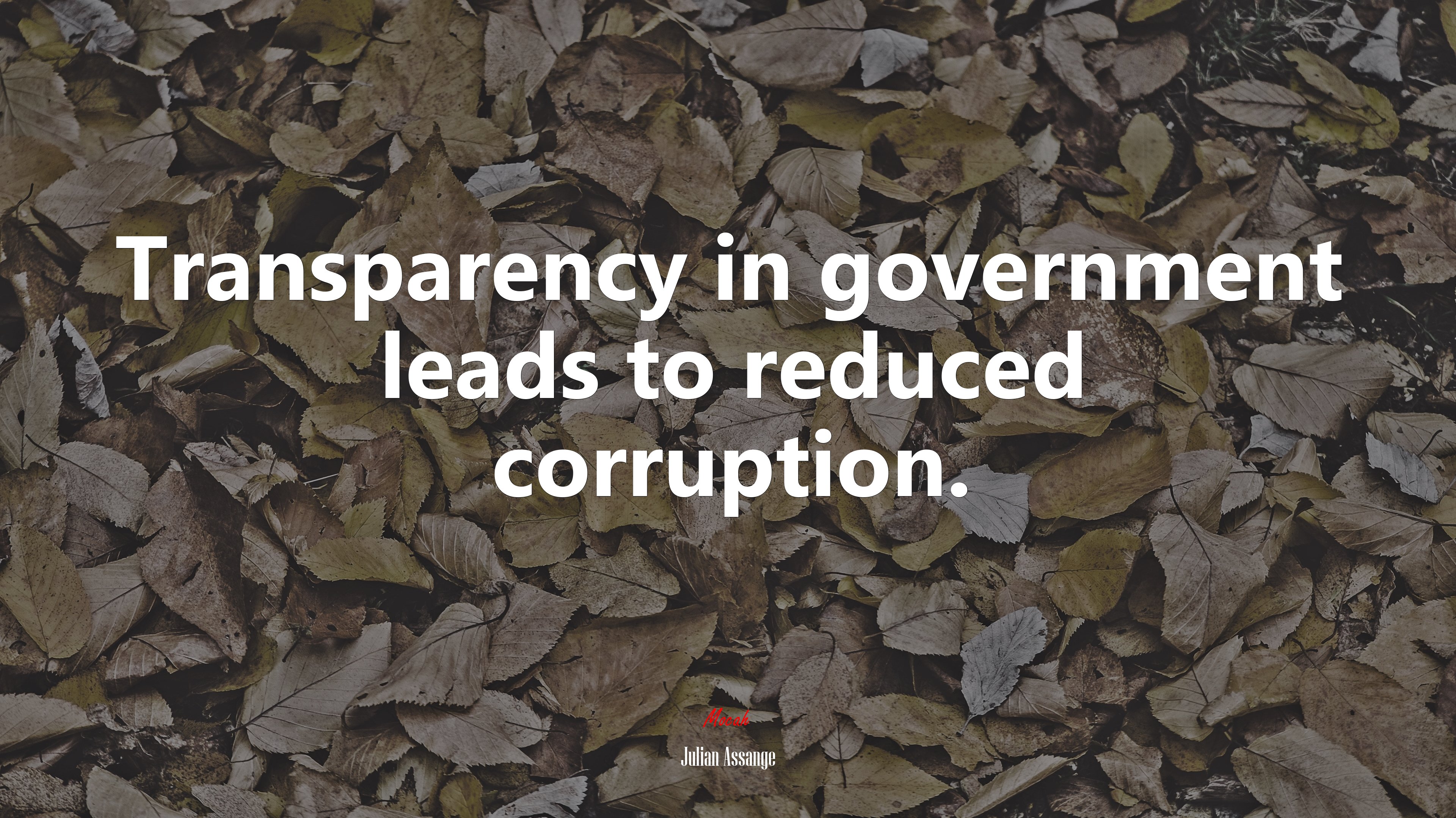 Transparency in government leads to reduced corruption. | Julian Assange quote HD Wallpaper
