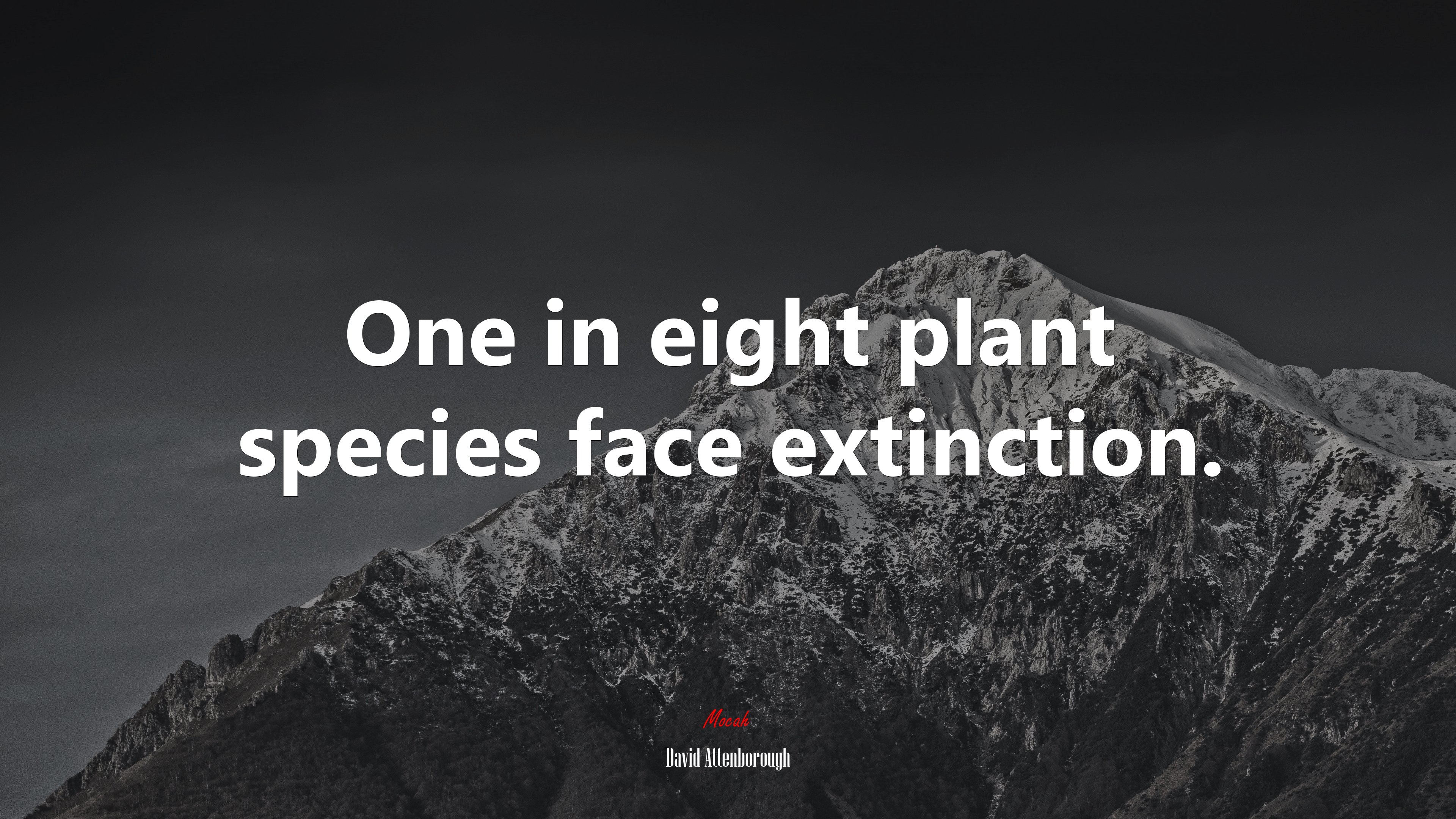 One in eight plant species face extinction. | David Attenborough quote HD Wallpaper