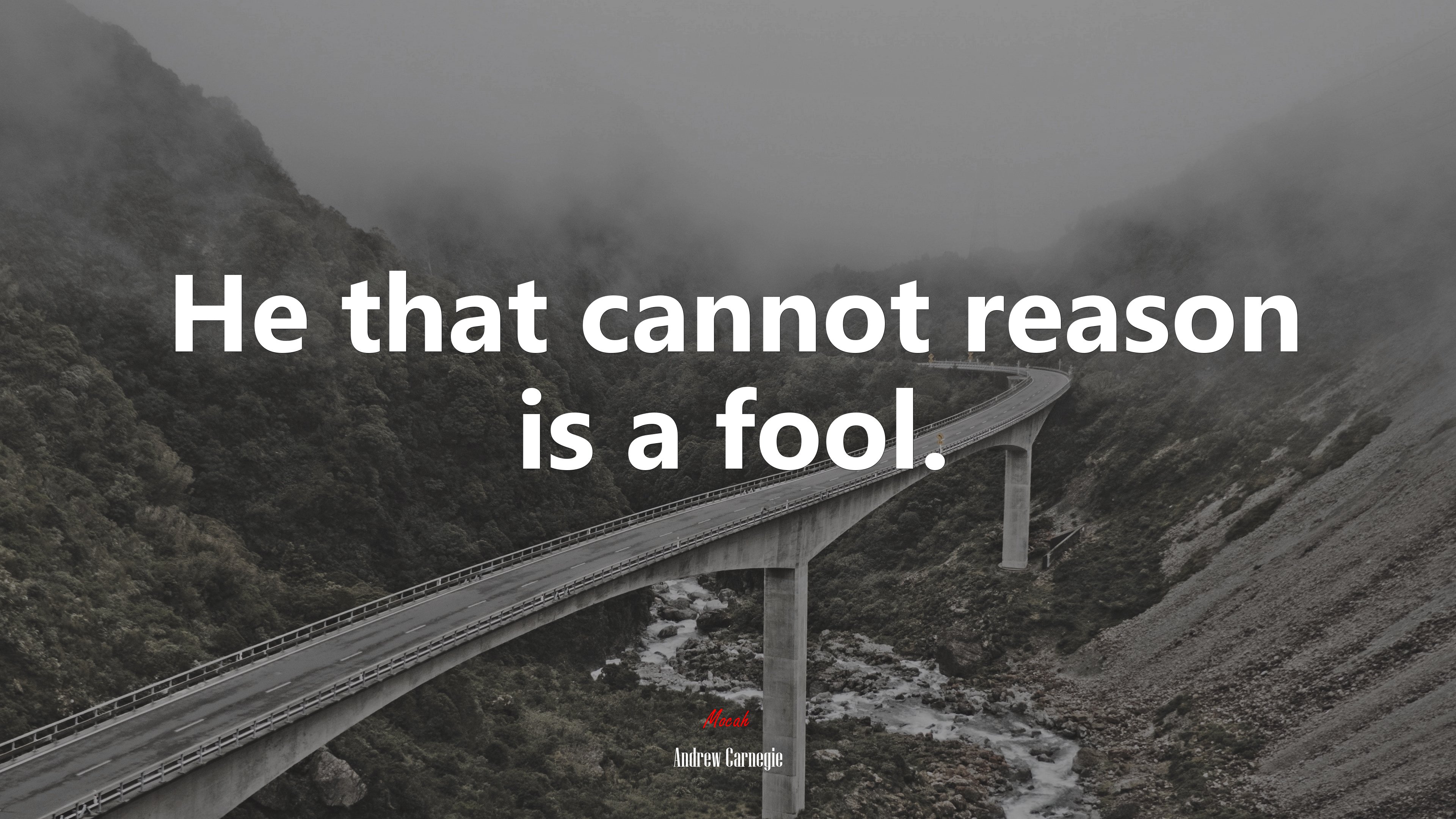 He that cannot reason is a fool. | Andrew Carnegie quote HD Wallpaper