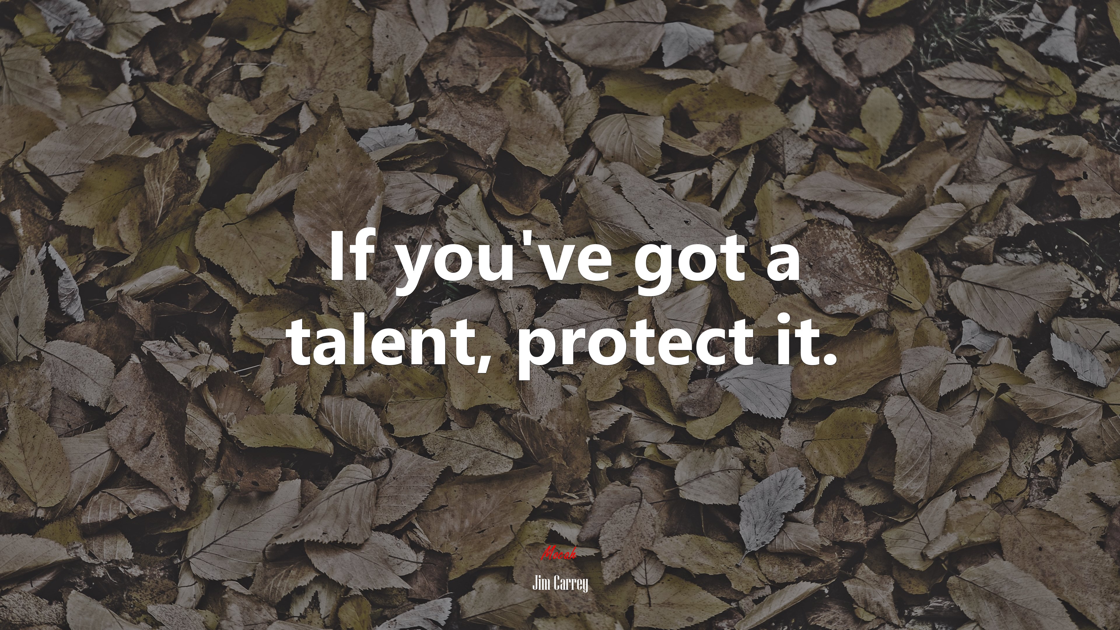If you’ve got a talent, protect it. | Jim Carrey quote HD Wallpaper
