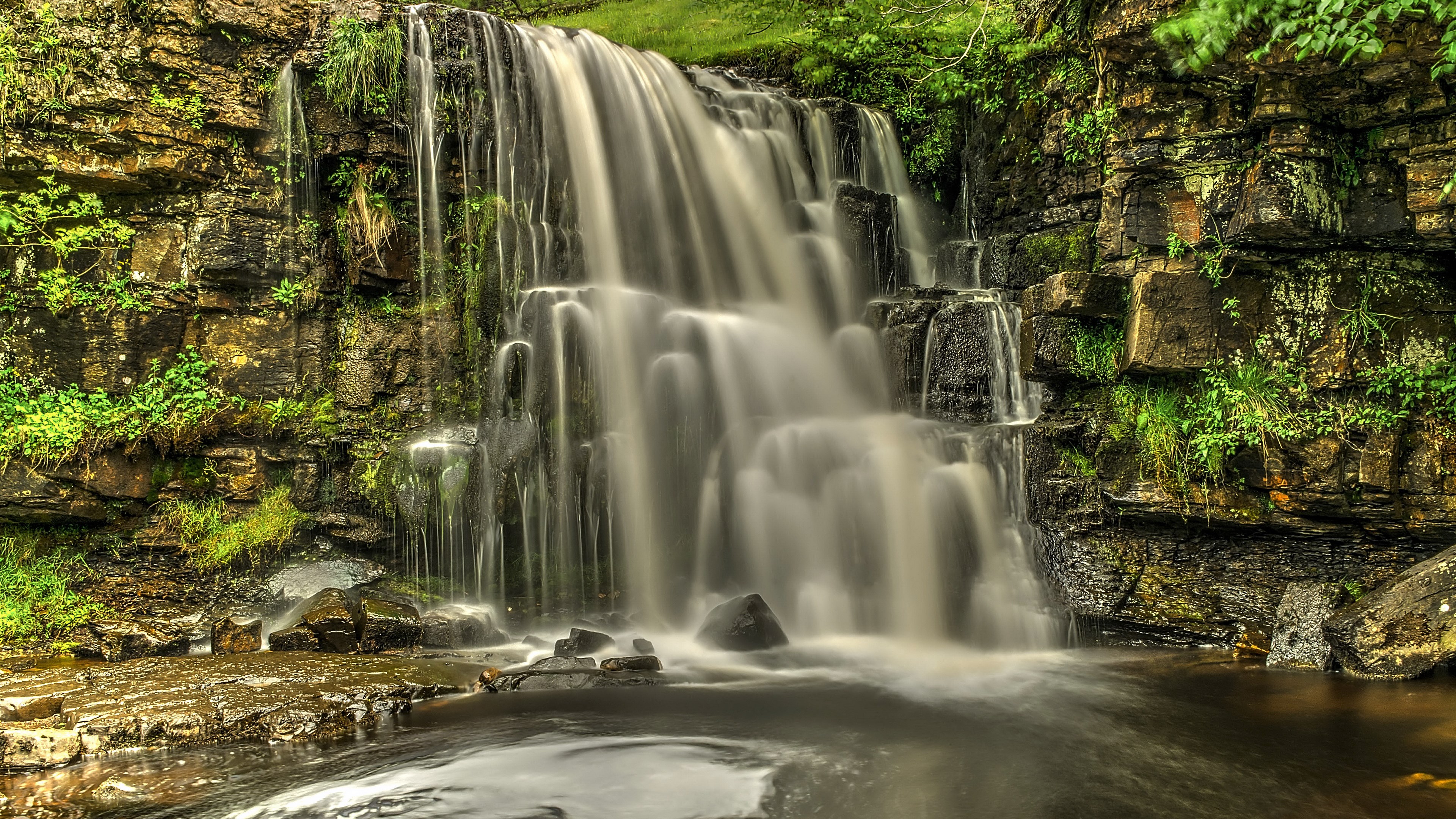 Waterfall cascading over mossy rocks in a forest HD Wallpaper