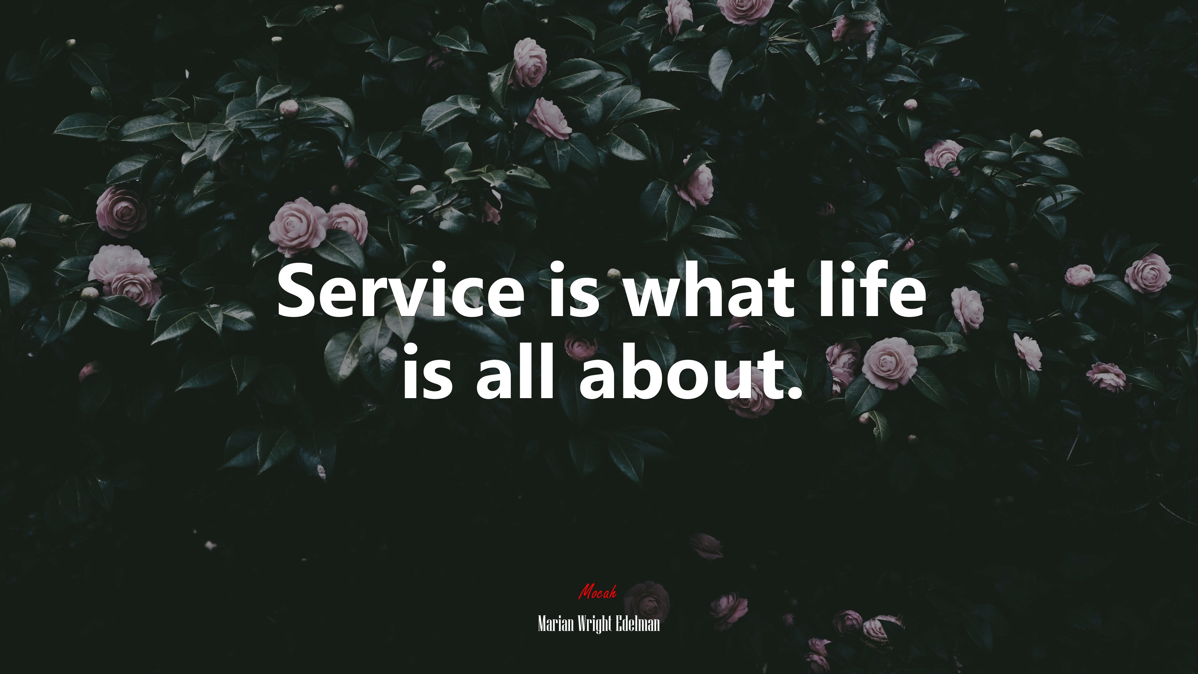 Service is what life is all about. | Marian Wright Edelman quote HD Wallpaper