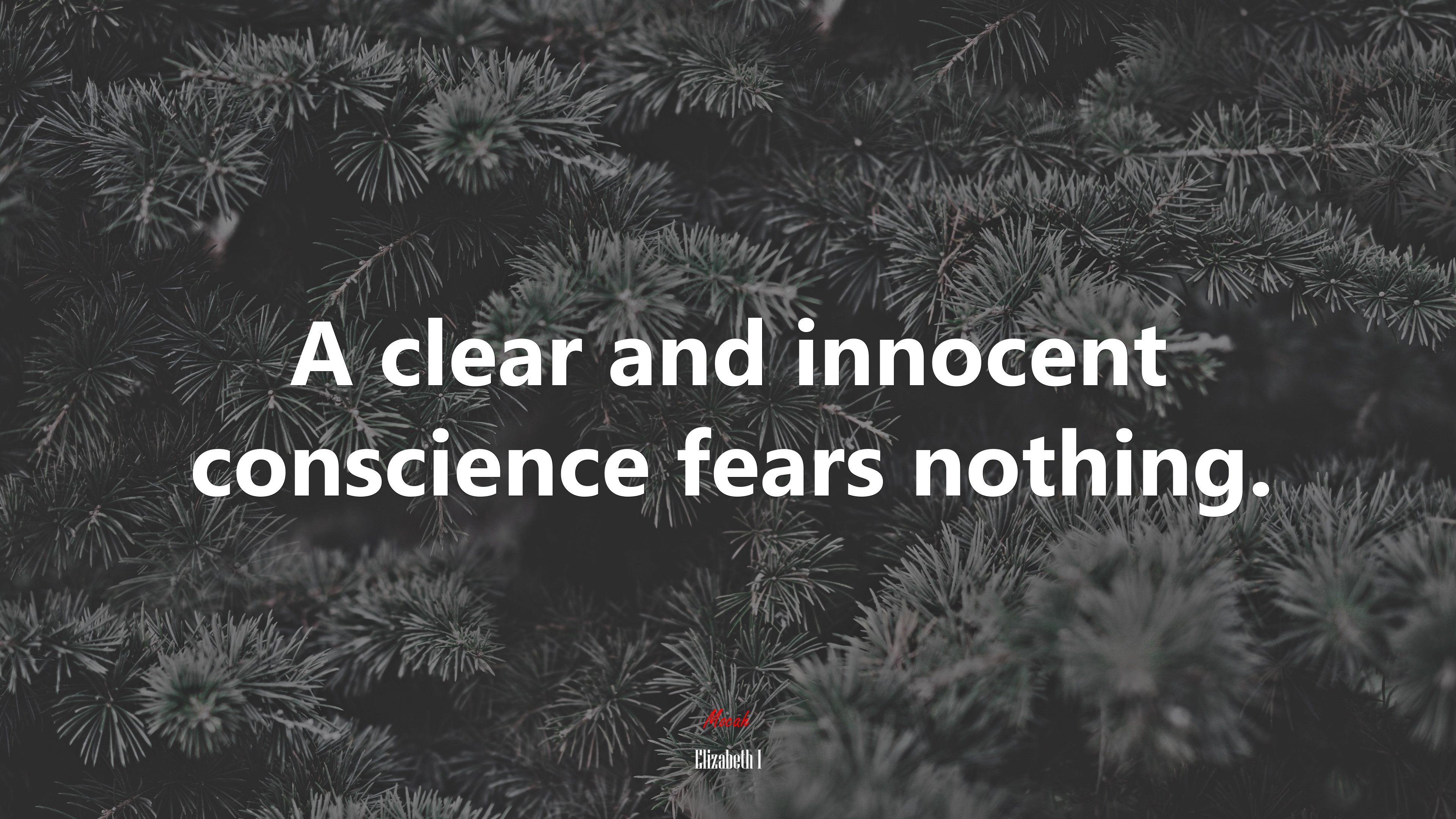 A clear and innocent conscience fears nothing. | Elizabeth I quote HD Wallpaper