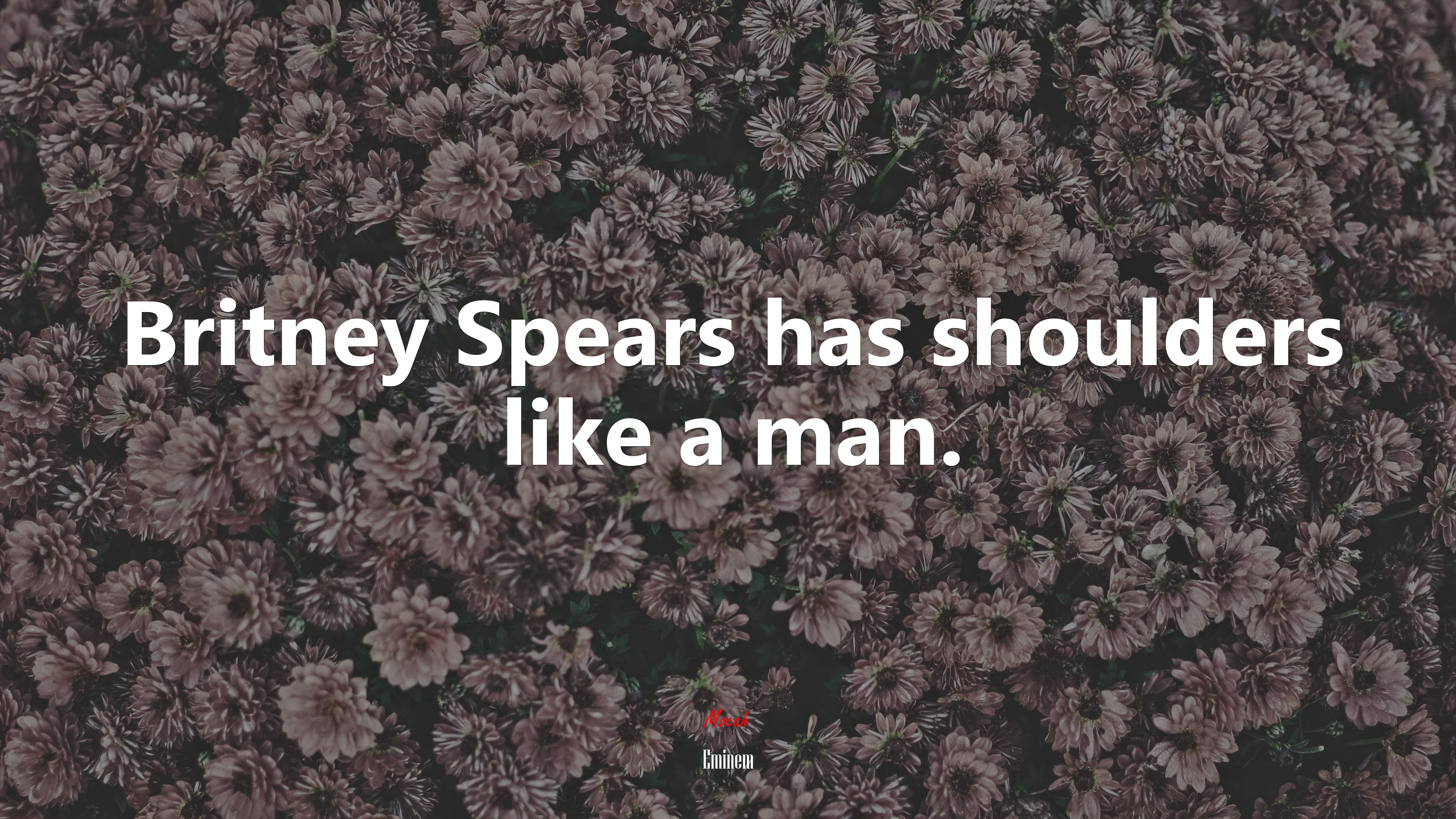 Britney Spears has shoulders like a man. | Eminem quote HD Wallpaper