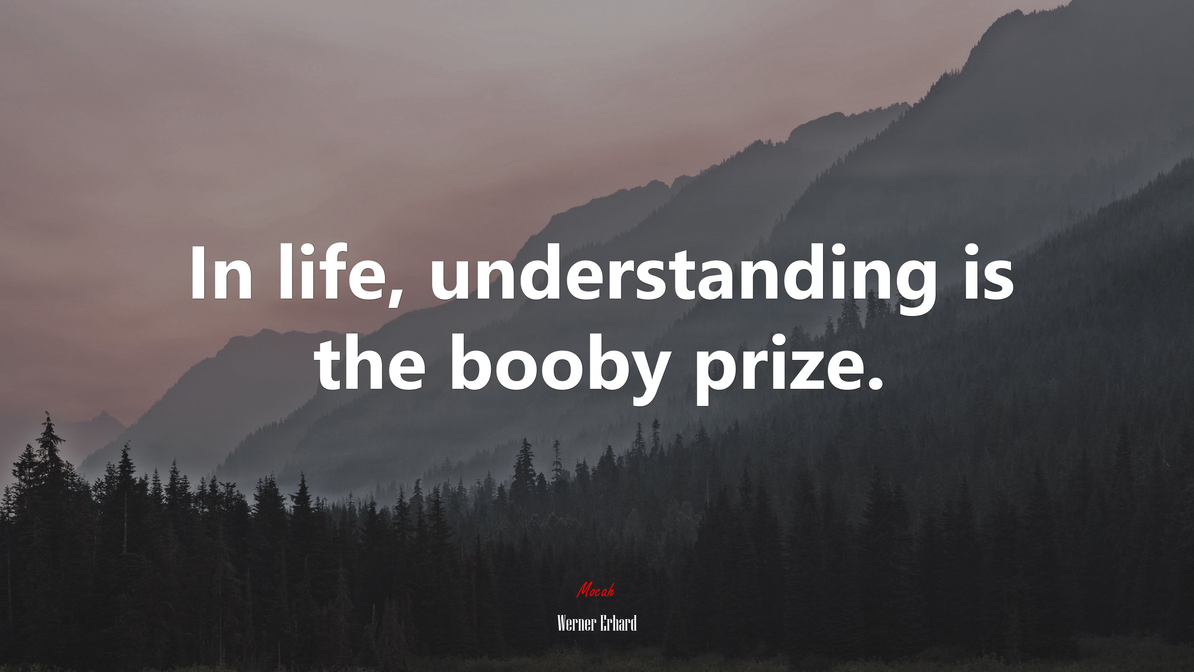 In life, understanding is the booby prize. | Werner Erhard quote HD Wallpaper
