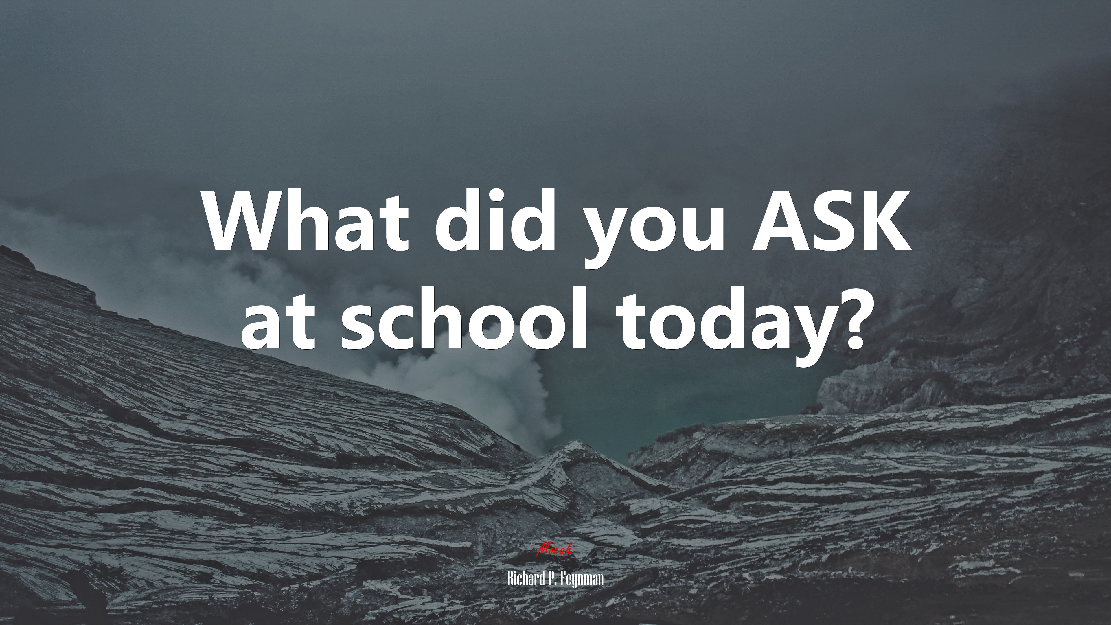 What did you ASK at school today? | Richard P. Feynman quote HD Wallpaper