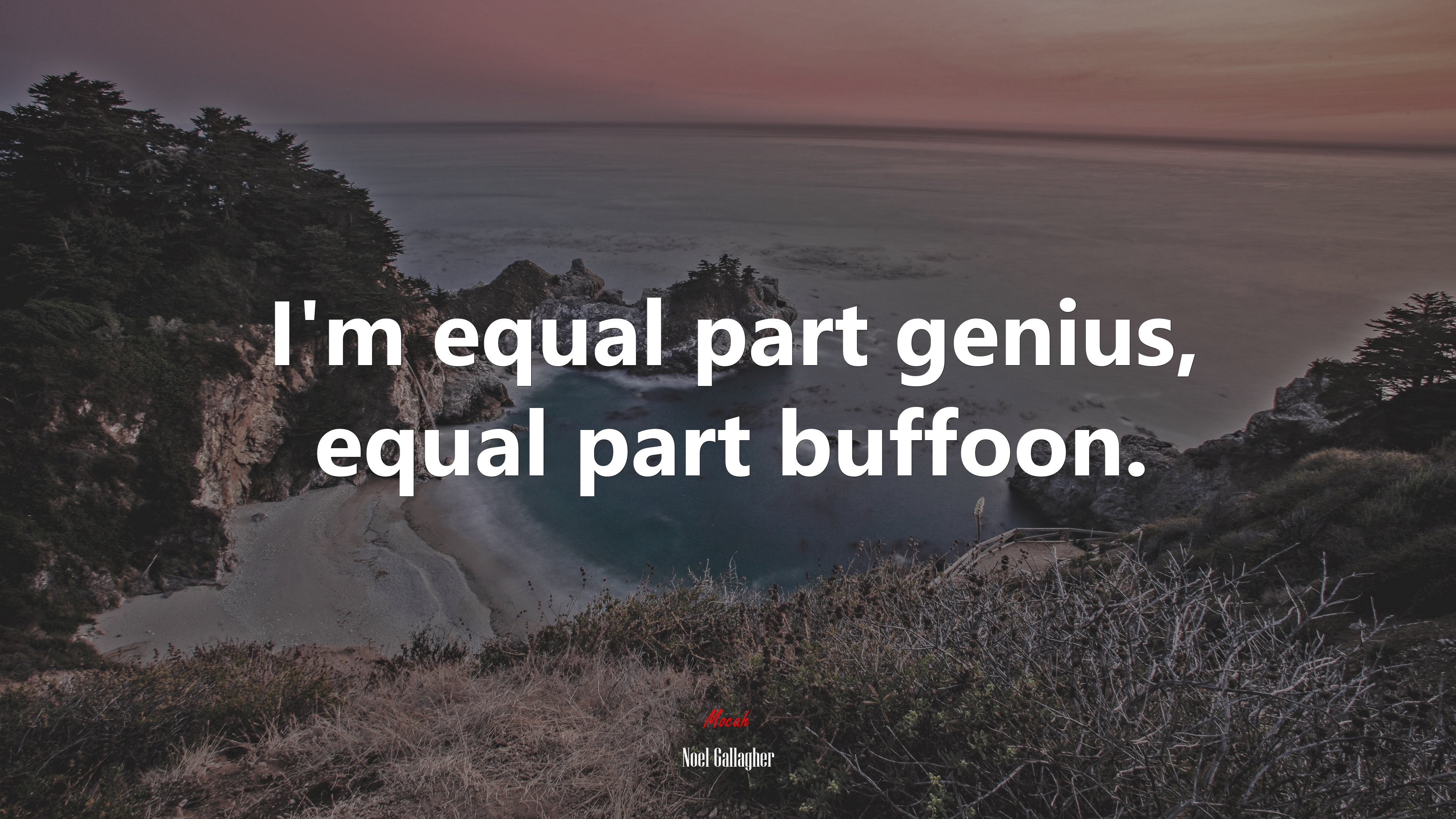 I’m equal part genius, equal part buffoon. | Noel Gallagher quote HD Wallpaper