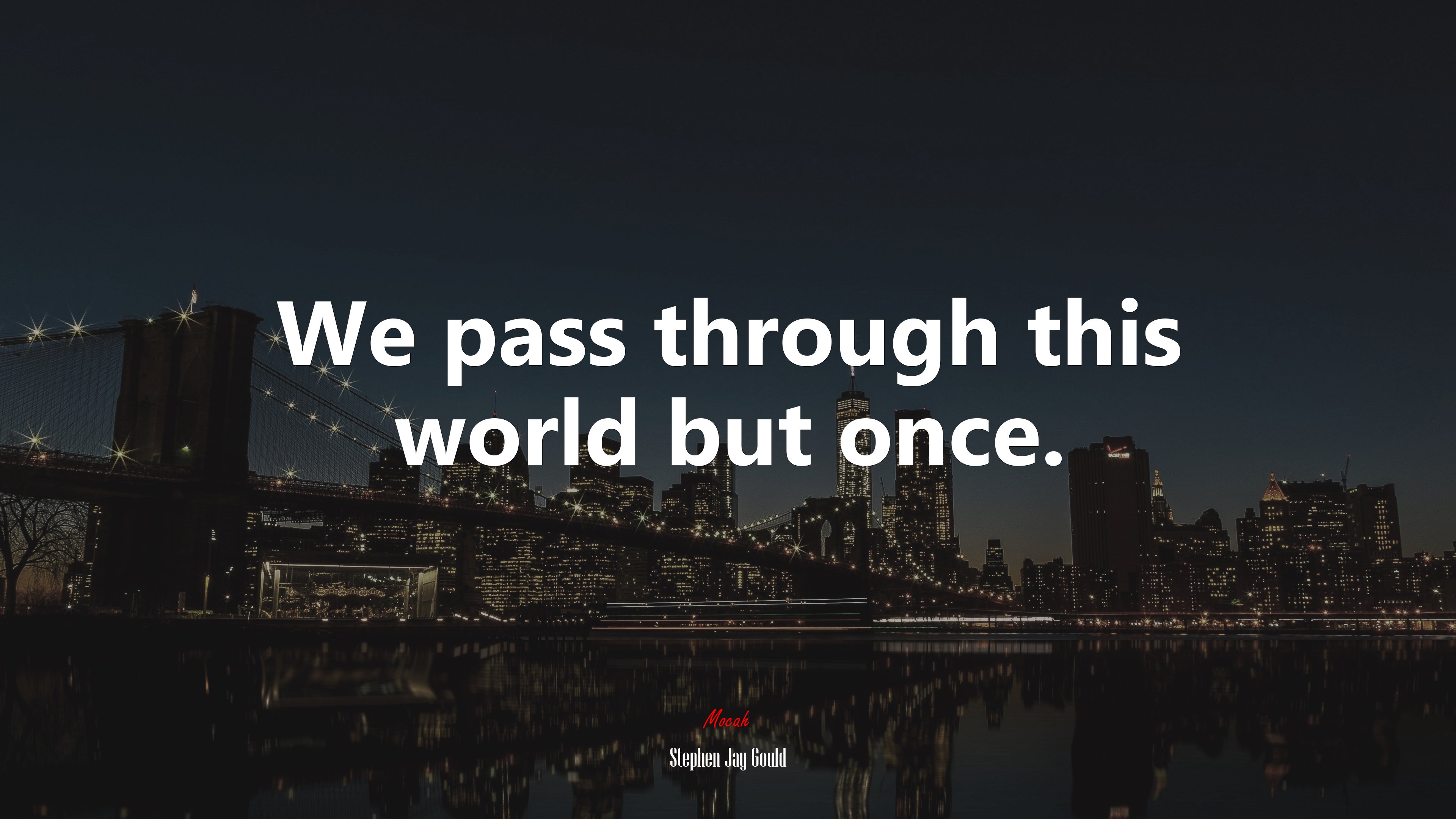 We pass through this world but once. | Stephen Jay Gould quote HD Wallpaper