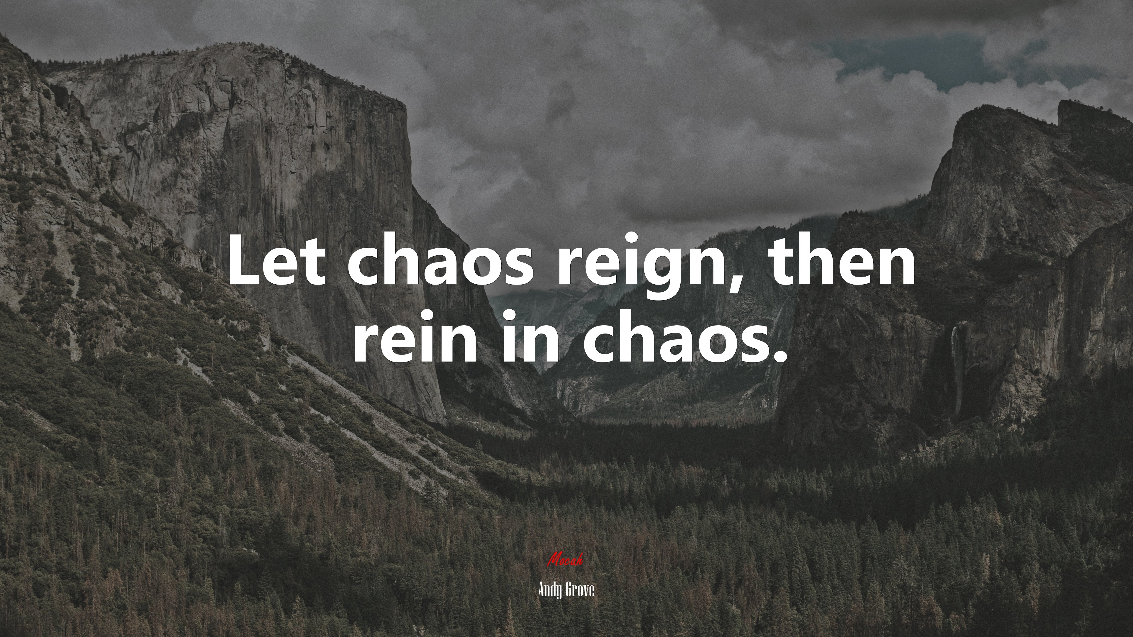 Let chaos reign, then rein in chaos. | Andy Grove quote HD Wallpaper