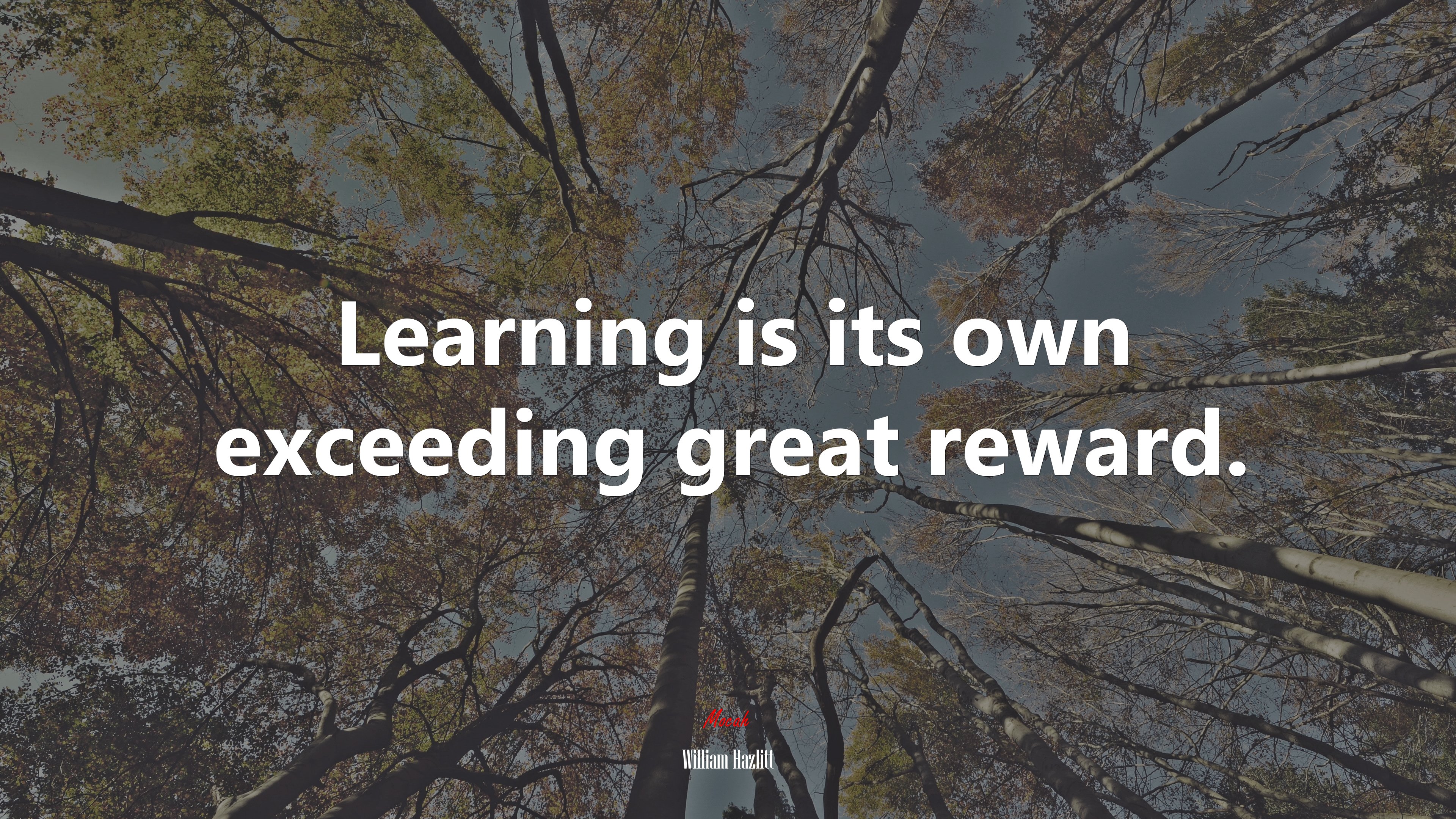 Learning is its own exceeding great reward. | William Hazlitt quote HD Wallpaper