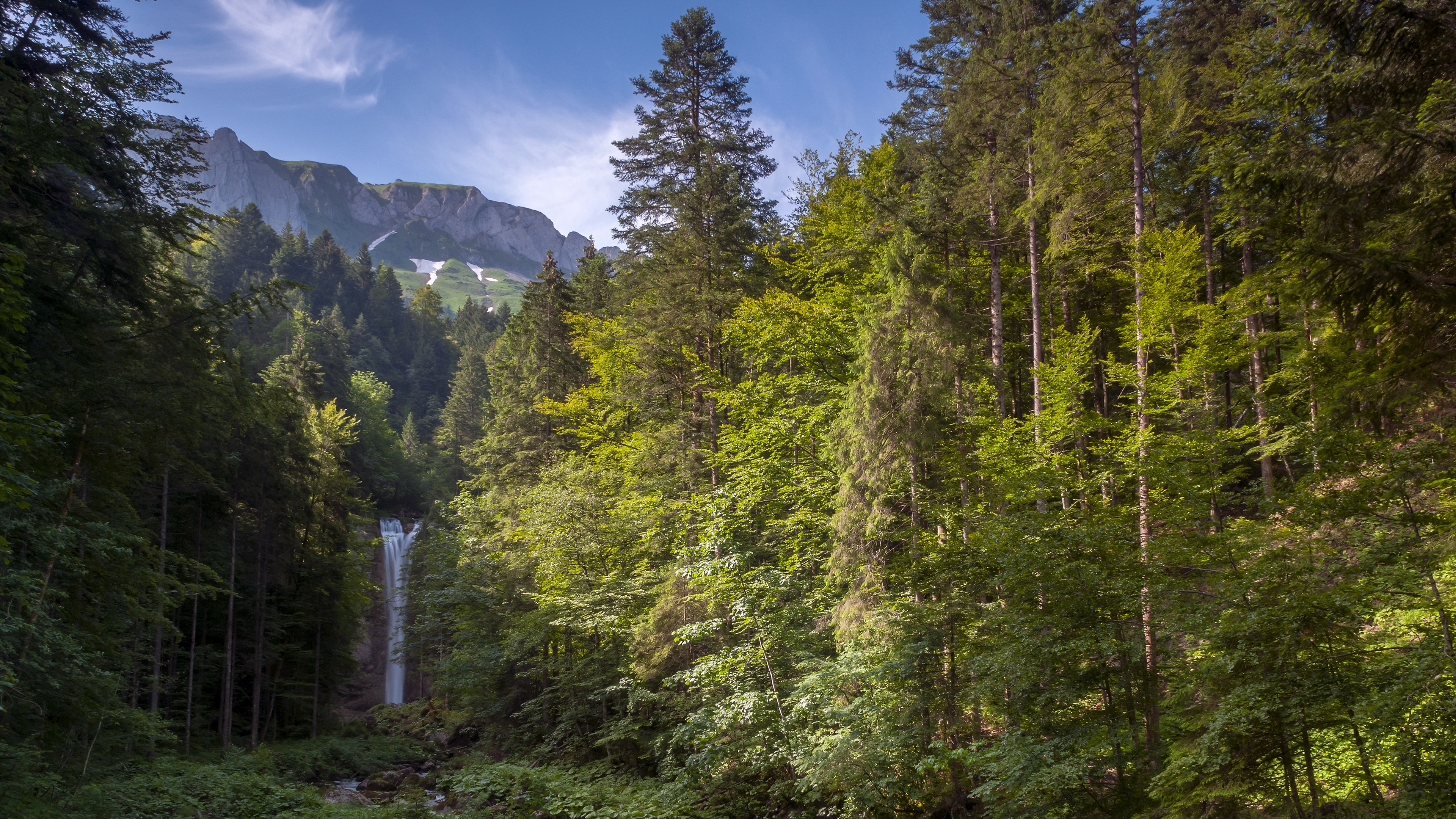 Waterfall in a dense forest with mountains in the background HD Wallpaper