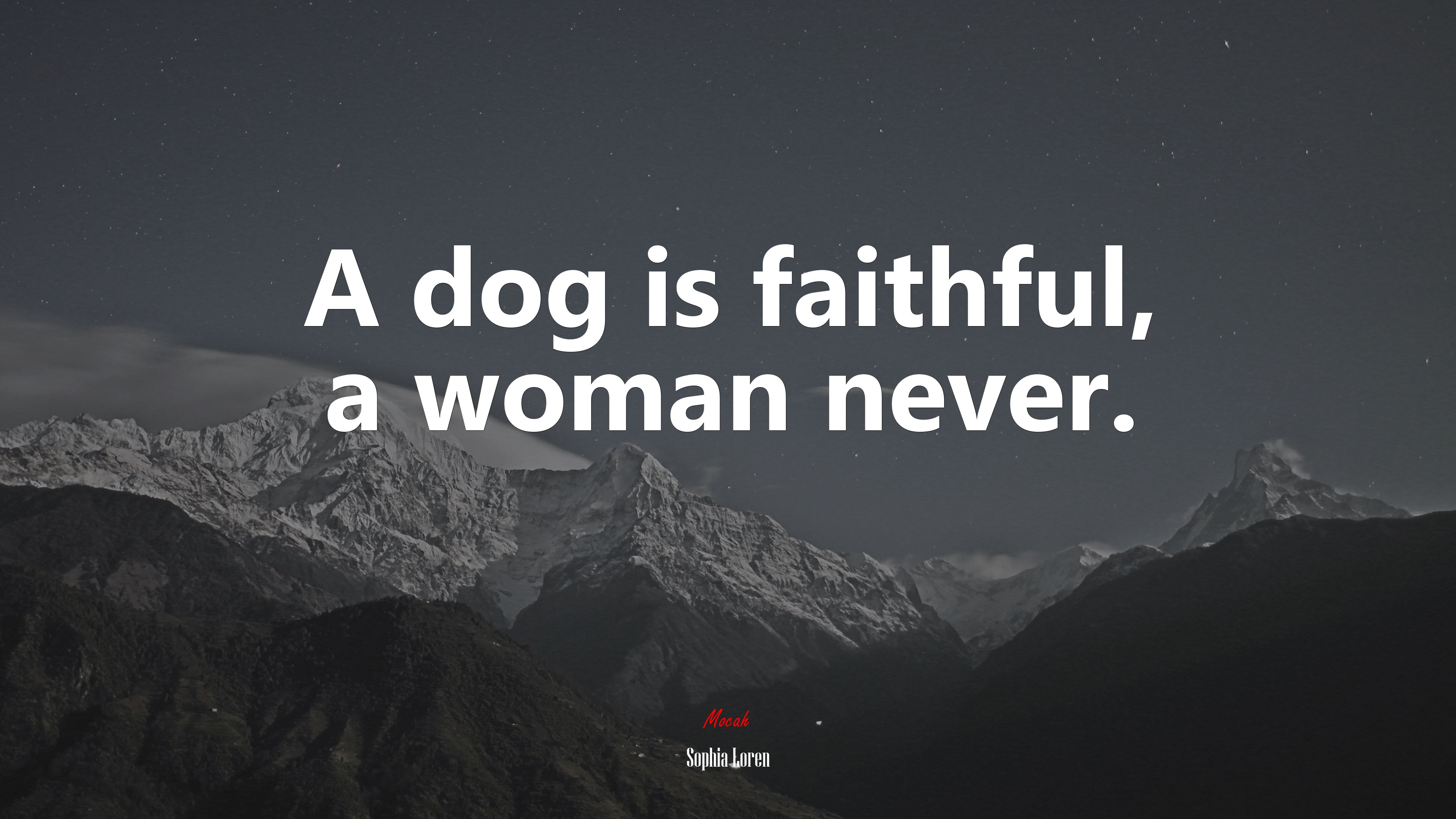 A dog is faithful, a woman never. | Sophia Loren quote HD Wallpaper