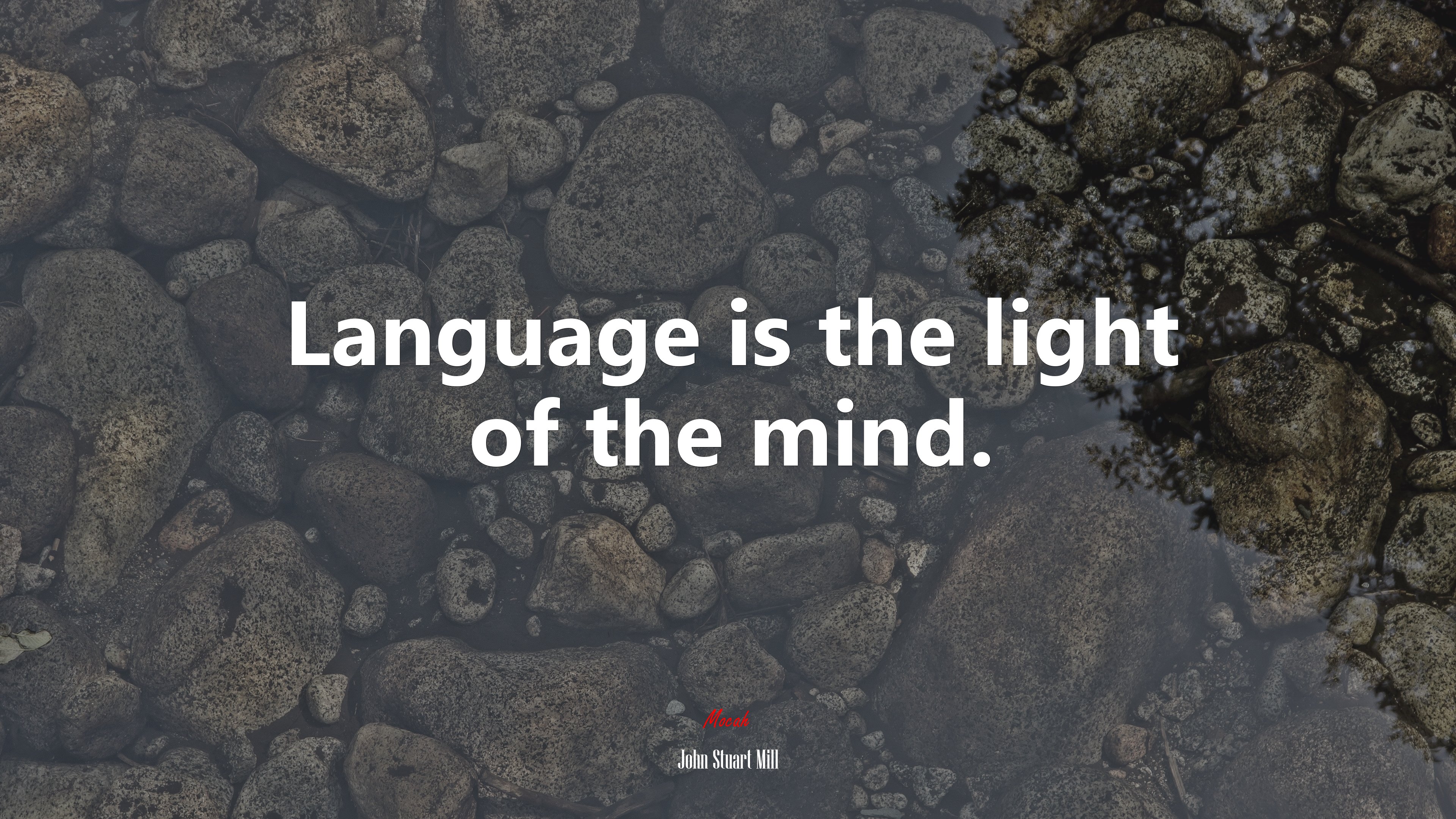 Language is the light of the mind. | John Stuart Mill quote HD Wallpaper