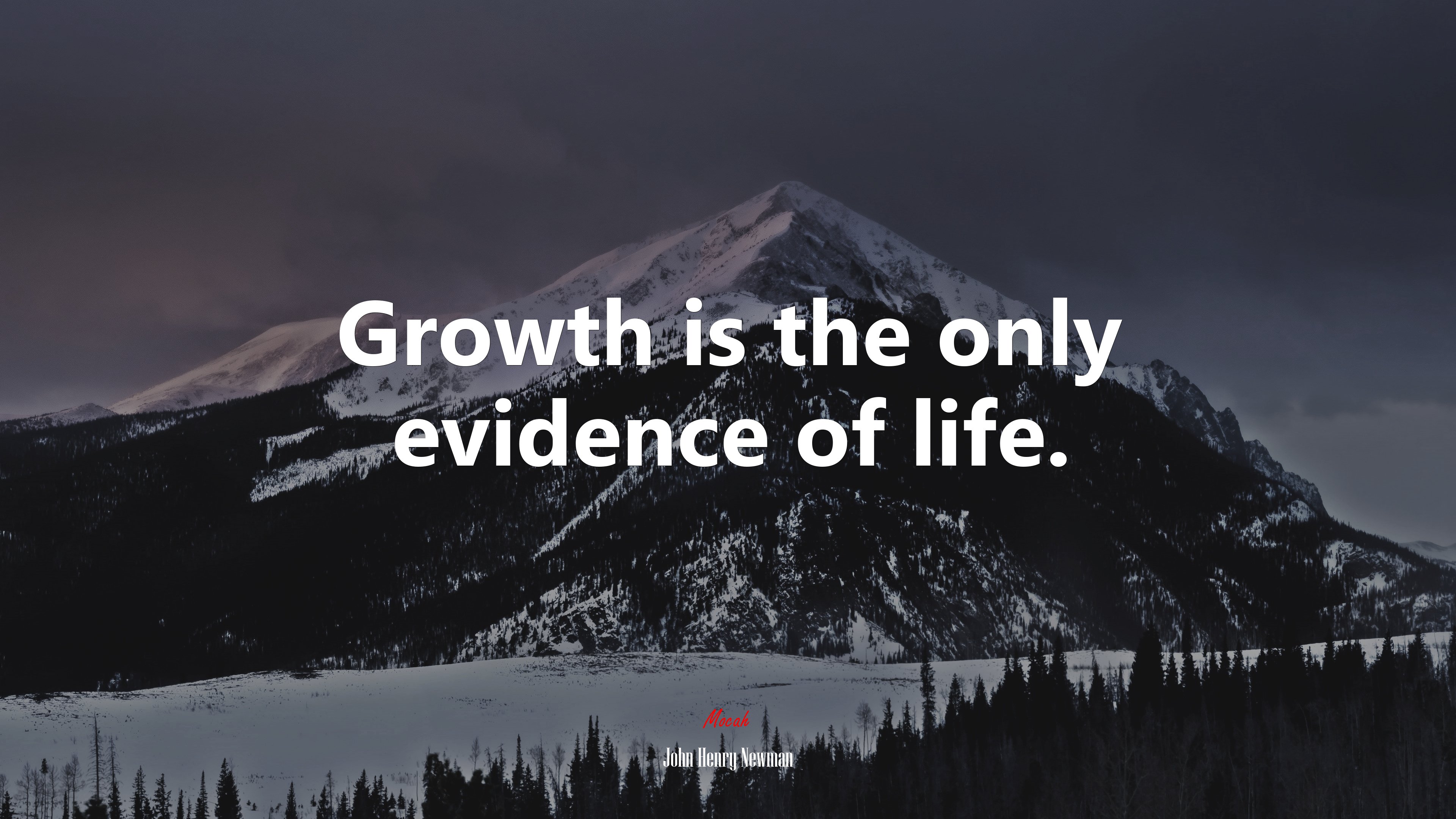 Growth is the only evidence of life. | John Henry Newman quote HD Wallpaper