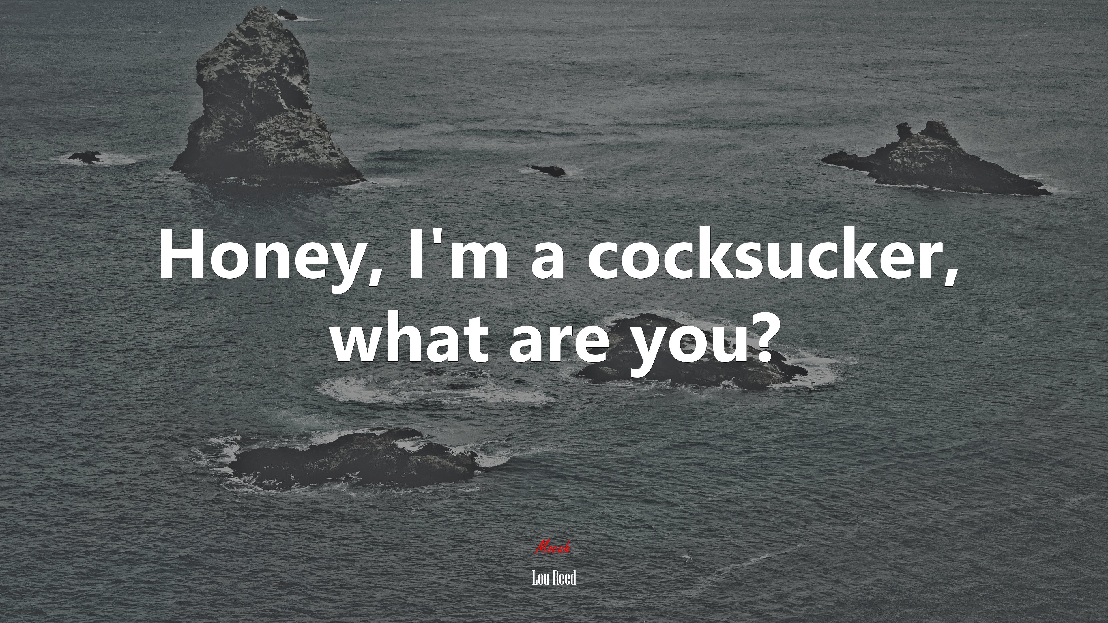 Honey, I’m a cocksucker, what are you? | Lou Reed quote HD Wallpaper