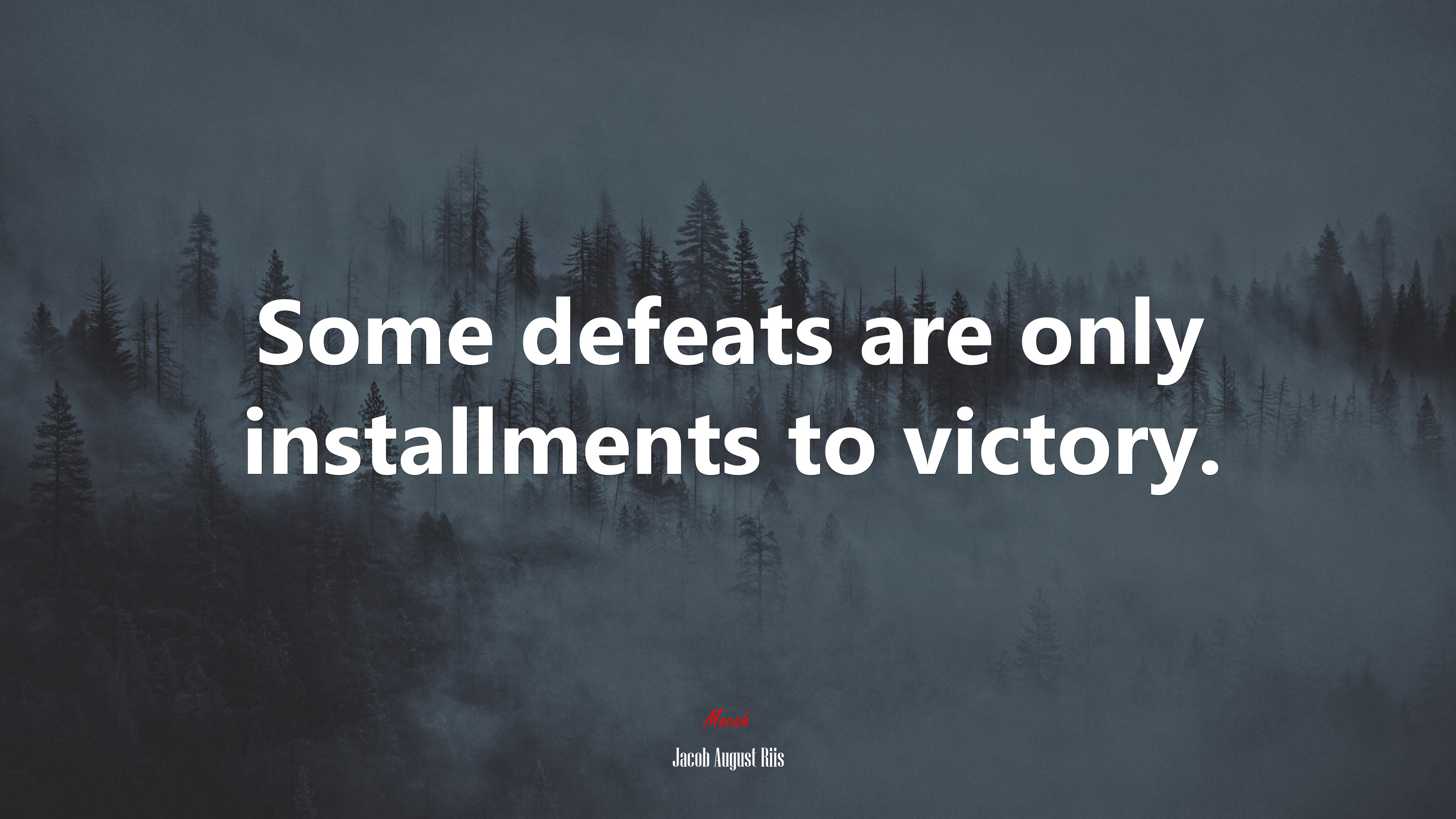 Some defeats are only installments to victory. | Jacob August Riis quote HD Wallpaper